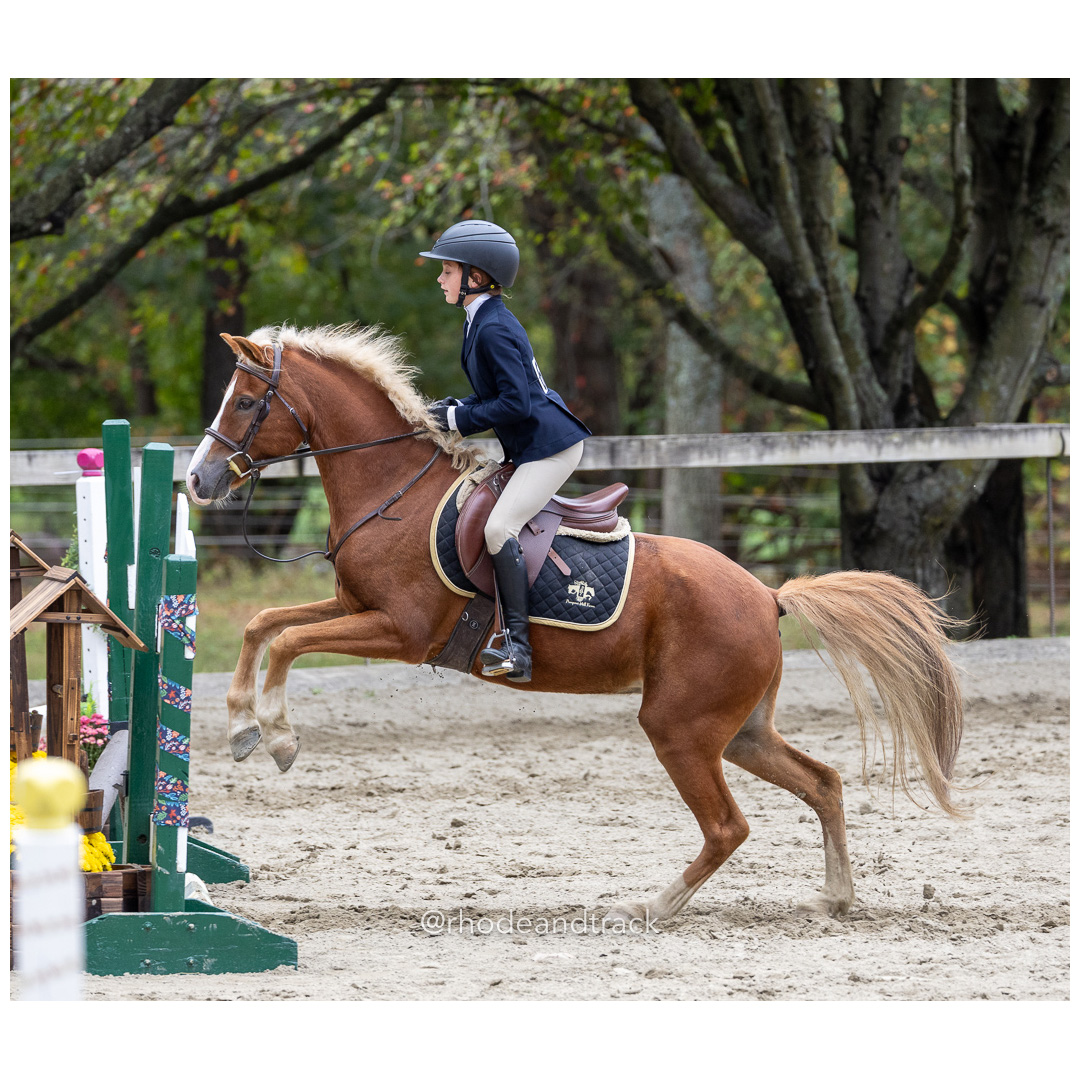 Interscholastic Equestrian Association - Prospect Hill Farm - North Smithfield, RI - September 29, 2024 title=