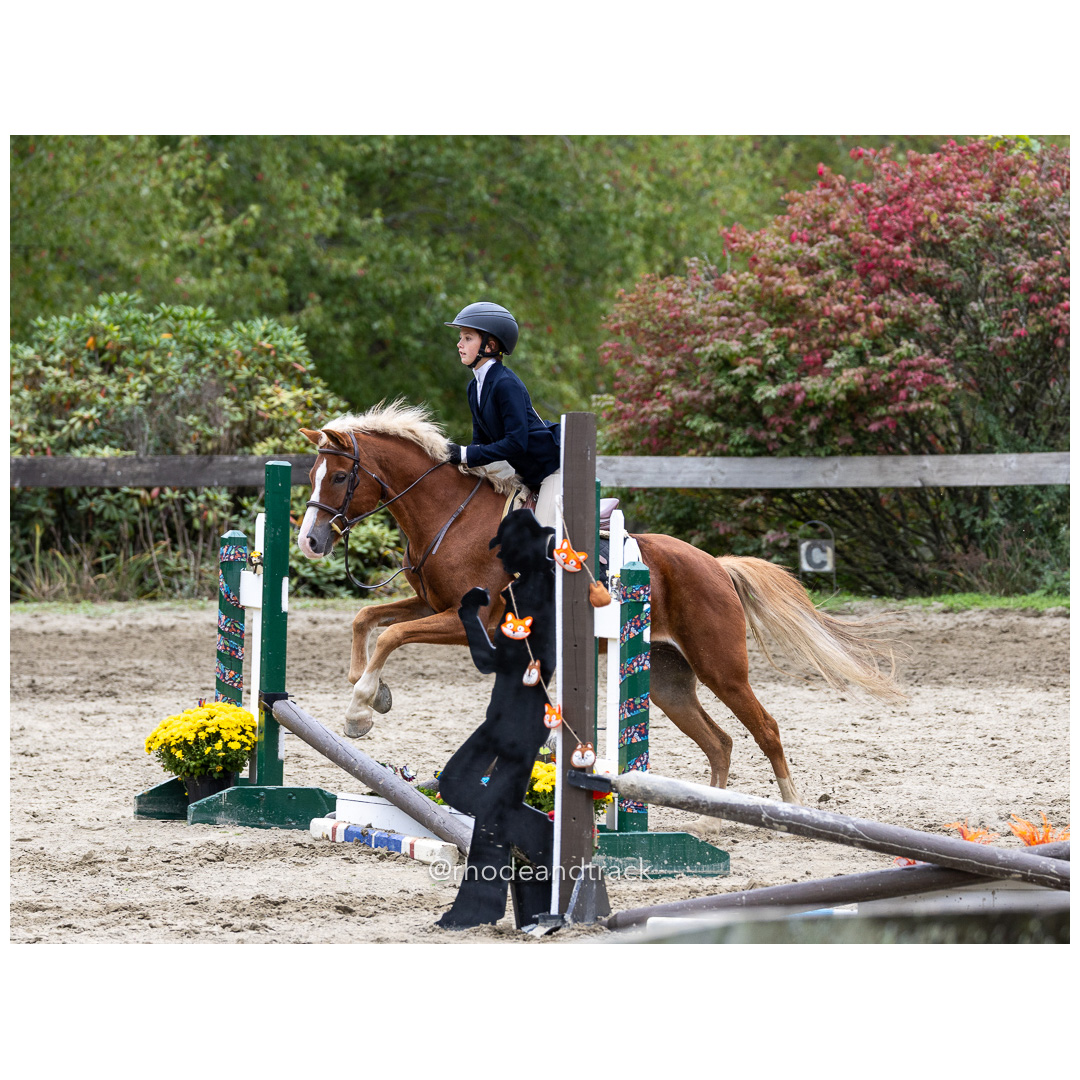 Interscholastic Equestrian Association - Prospect Hill Farm - North Smithfield, RI - September 29, 2024 title=