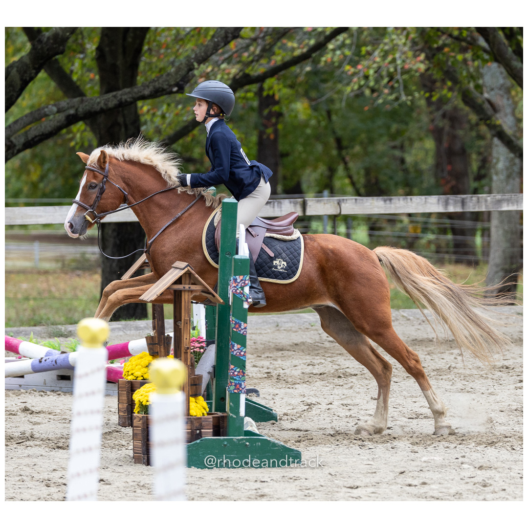 Interscholastic Equestrian Association - Prospect Hill Farm - North Smithfield, RI - September 29, 2024 title=