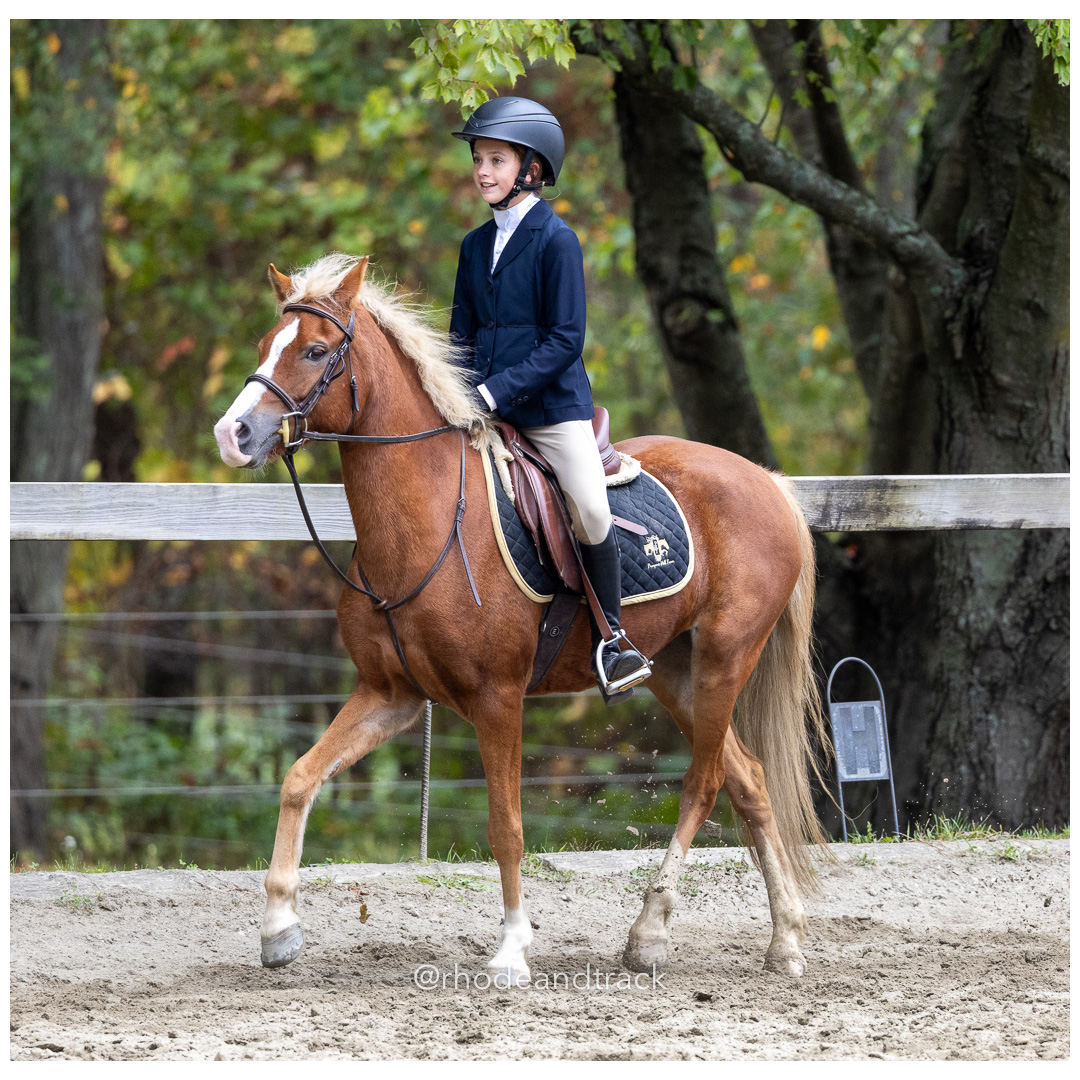 Interscholastic Equestrian Association - Prospect Hill Farm - North Smithfield, RI - September 29, 2024 title=