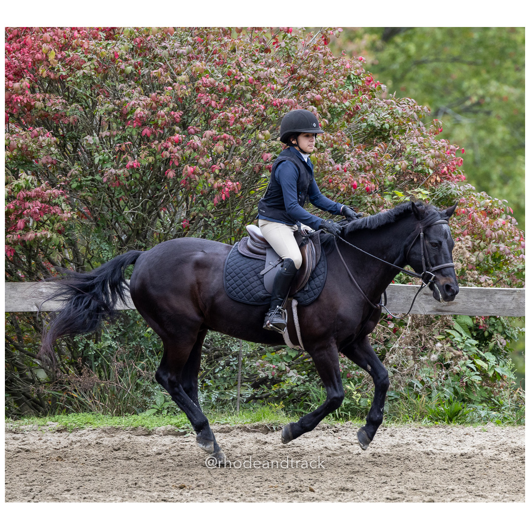 Interscholastic Equestrian Association - Prospect Hill Farm - North Smithfield, RI - September 29, 2024 title=
