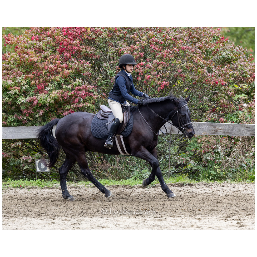 Interscholastic Equestrian Association - Prospect Hill Farm - North Smithfield, RI - September 29, 2024 title=