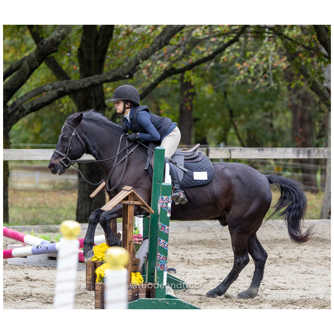 Interscholastic Equestrian Association - Prospect Hill Farm - North Smithfield, RI - September 29, 2024 title=