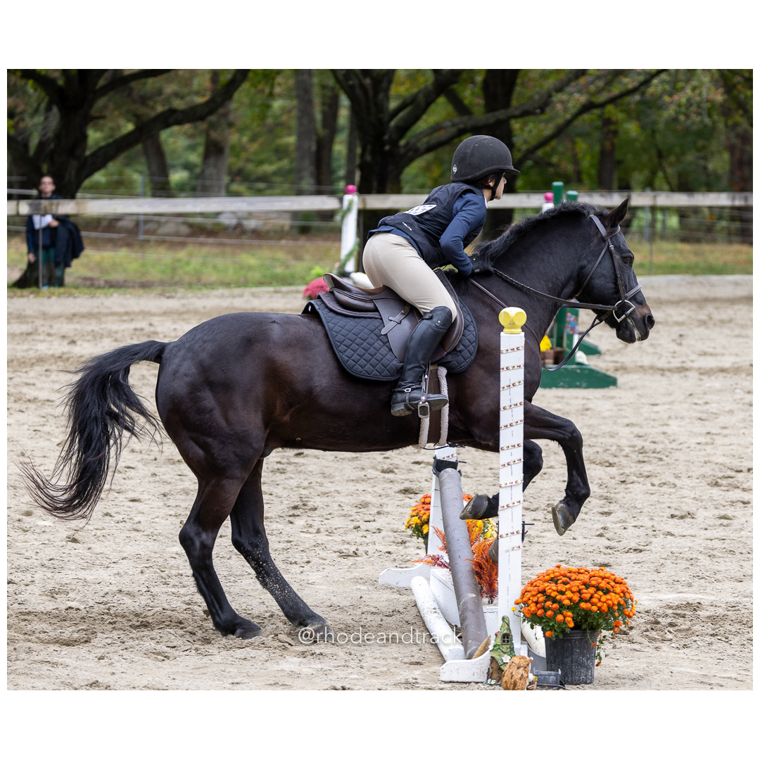 Interscholastic Equestrian Association - Prospect Hill Farm - North Smithfield, RI - September 29, 2024 title=