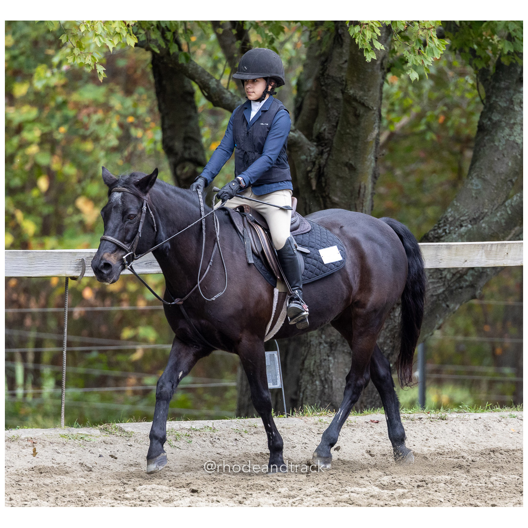 Interscholastic Equestrian Association - Prospect Hill Farm - North Smithfield, RI - September 29, 2024 title=