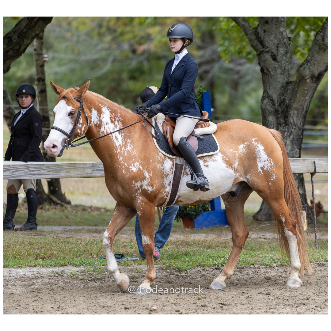 Interscholastic Equestrian Association - Prospect Hill Farm - North Smithfield, RI - September 29, 2024 title=
