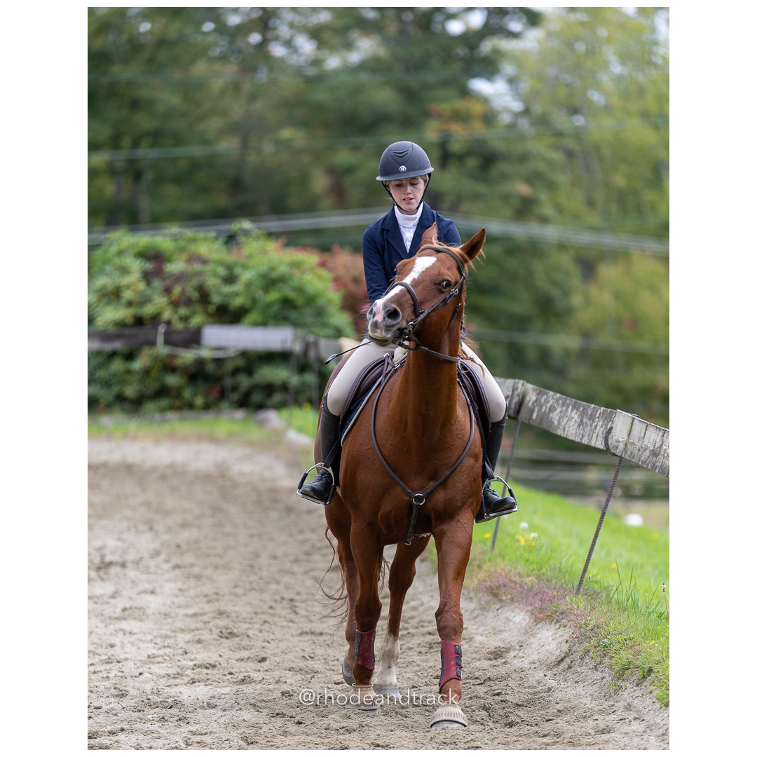 Interscholastic Equestrian Association - Prospect Hill Farm - North Smithfield, RI - September 29, 2024 title=