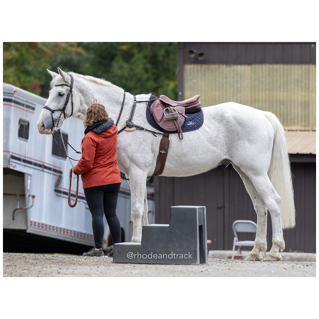Interscholastic Equestrian Association - Prospect Hill Farm - North Smithfield, RI - September 29, 2024 title=
