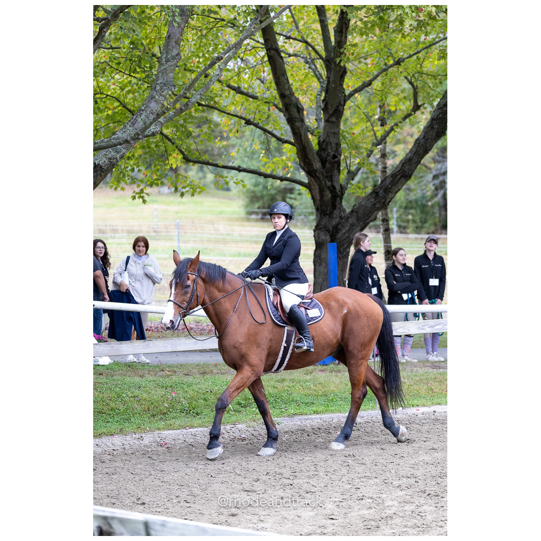 Interscholastic Equestrian Association - Prospect Hill Farm - North Smithfield, RI - September 29, 2024 title=