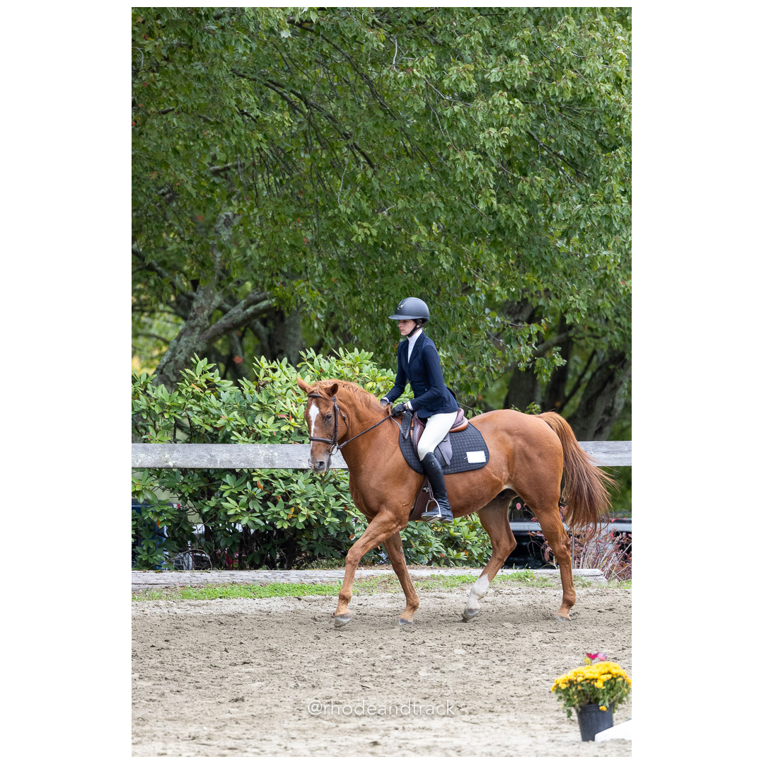 Interscholastic Equestrian Association - Prospect Hill Farm - North Smithfield, RI - September 29, 2024 title=