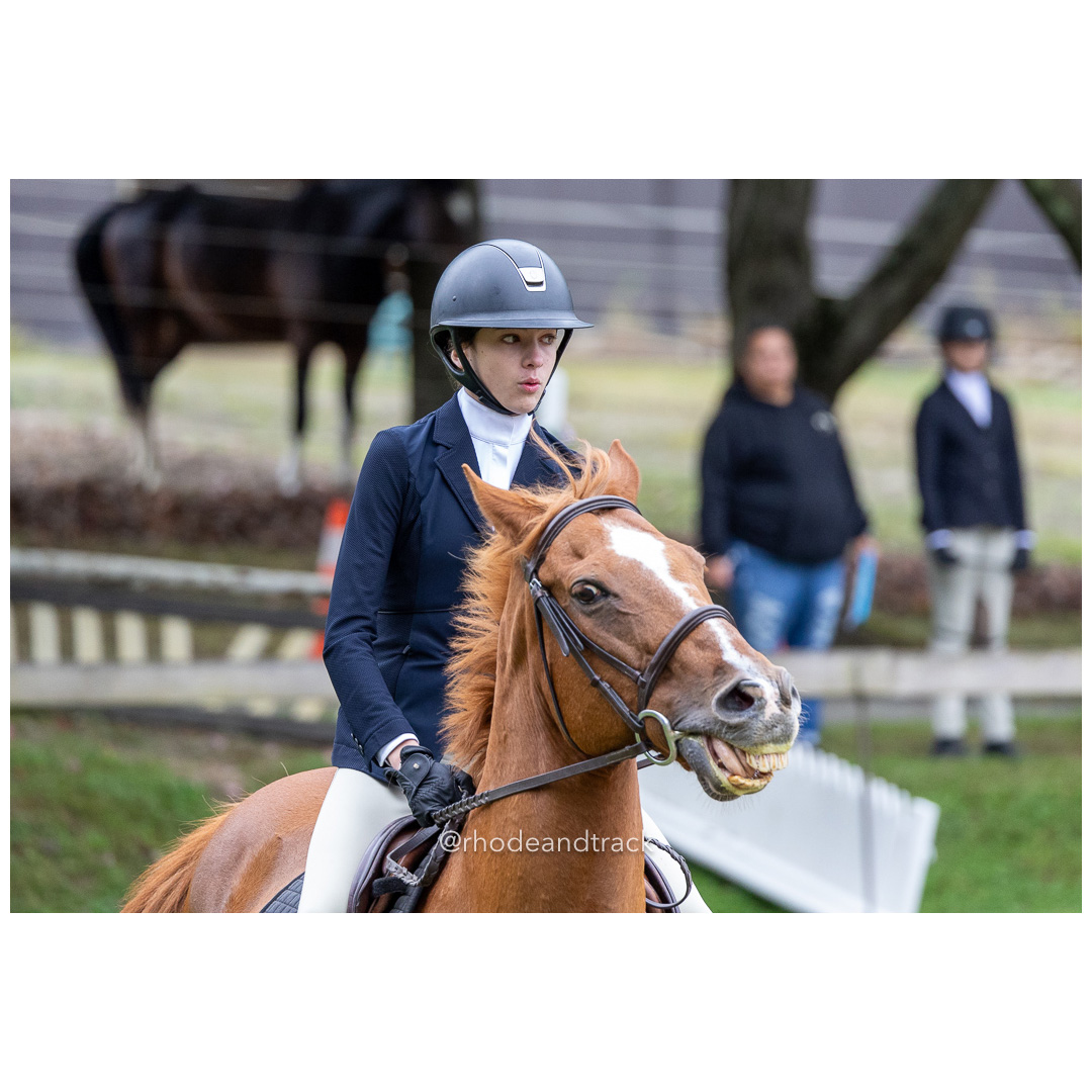 Interscholastic Equestrian Association - Prospect Hill Farm - North Smithfield, RI - September 29, 2024 title=