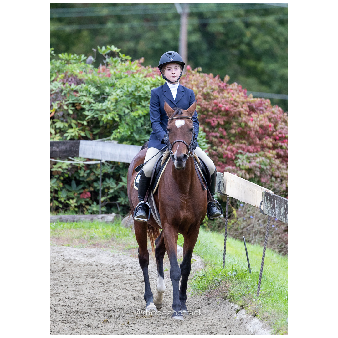 Interscholastic Equestrian Association - Prospect Hill Farm - North Smithfield, RI - September 29, 2024 title=