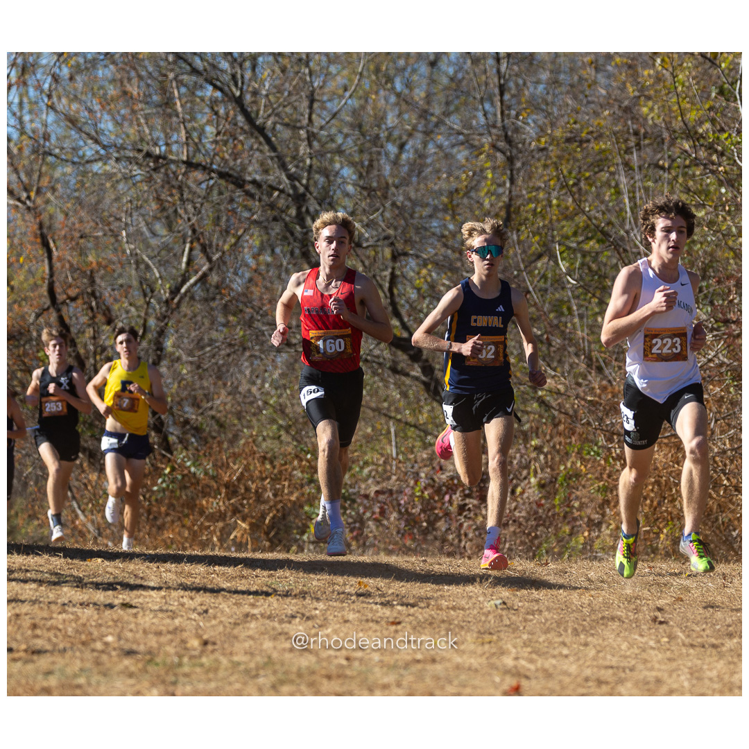 2024 New England Cross Country Championships at Wickham Park in Manchester CT on November 9, 2024 title=
