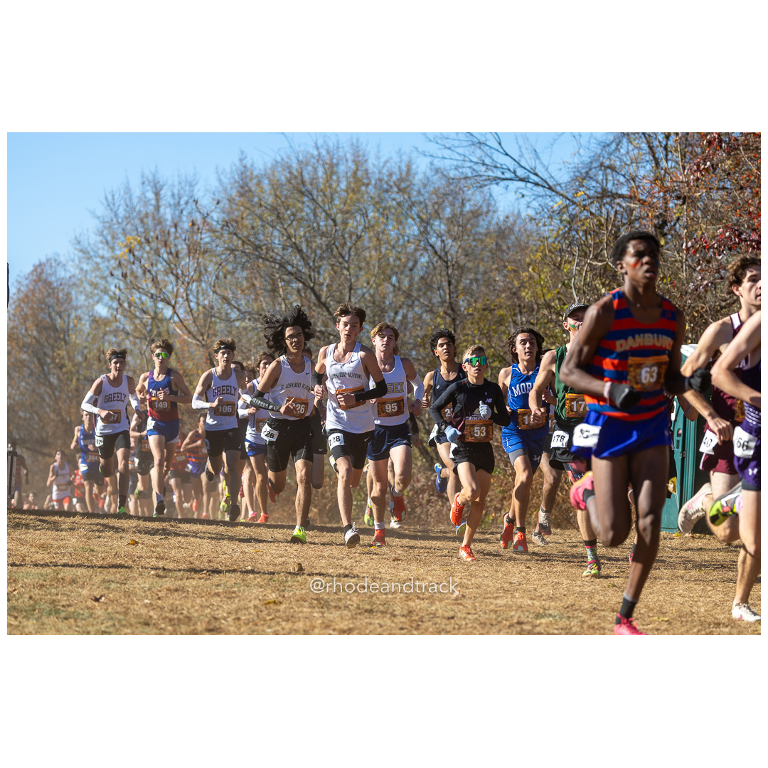 2024 New England Cross Country Championships at Wickham Park in Manchester CT on November 9, 2024 title=