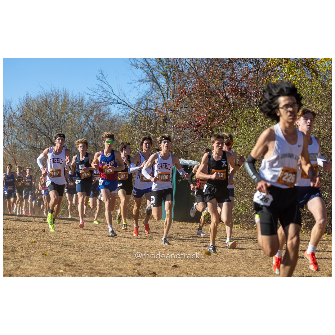 2024 New England Cross Country Championships at Wickham Park in Manchester CT on November 9, 2024 title=