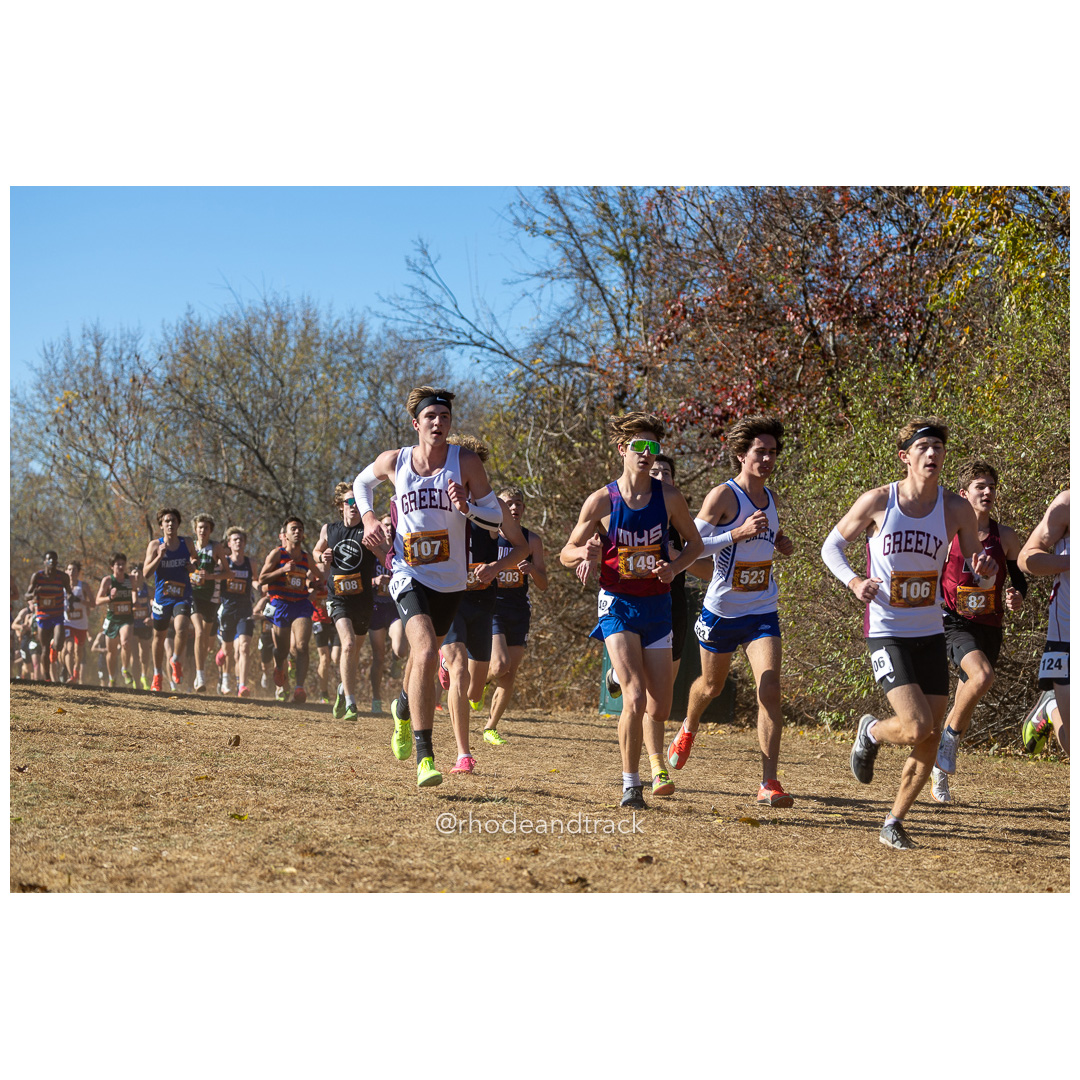 2024 New England Cross Country Championships at Wickham Park in Manchester CT on November 9, 2024 title=