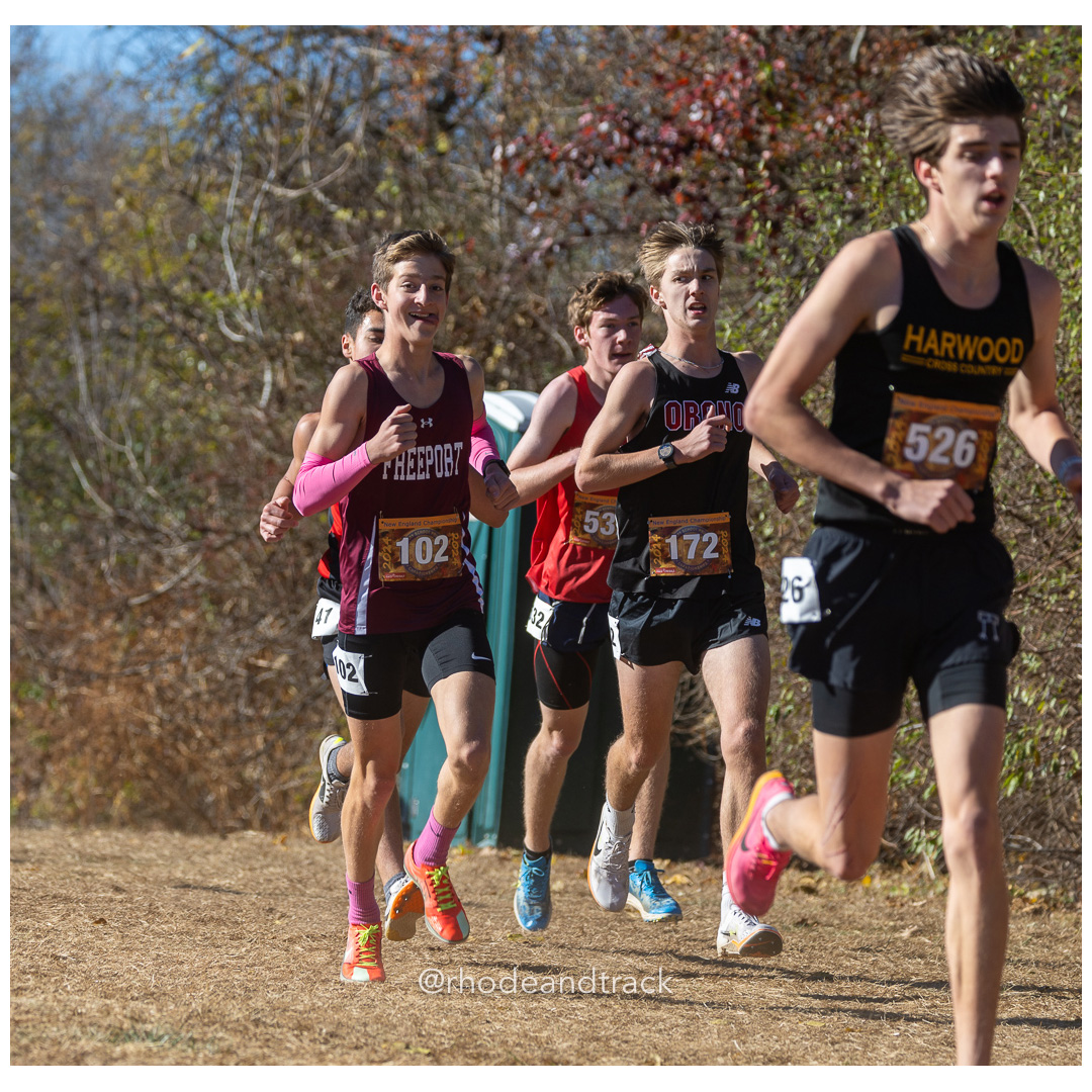 2024 New England Cross Country Championships at Wickham Park in Manchester CT on November 9, 2024 title=