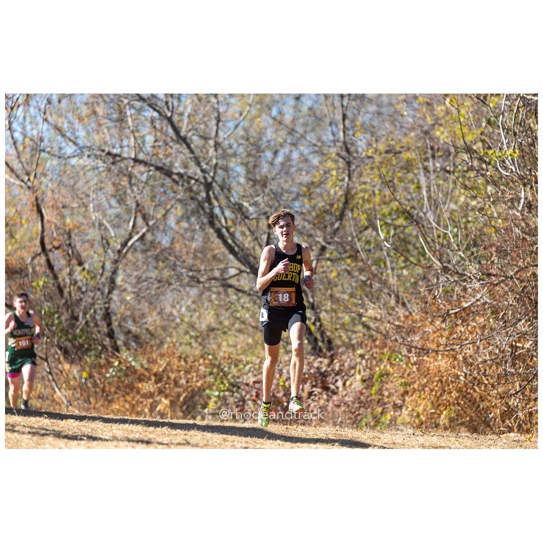 2024 New England Cross Country Championships at Wickham Park in Manchester CT on November 9, 2024 title=