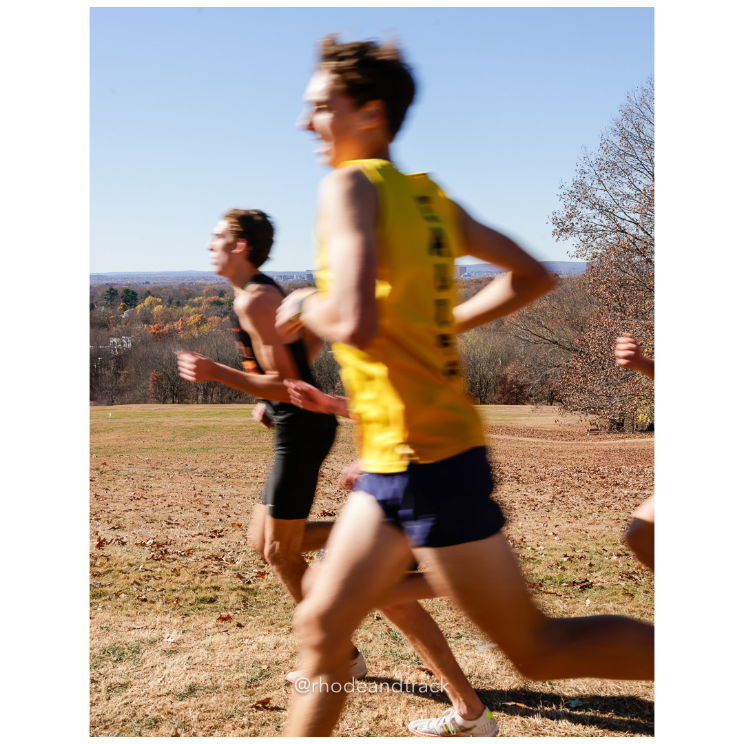 2024 New England Cross Country Championships at Wickham Park in Manchester CT on November 9, 2024 title=