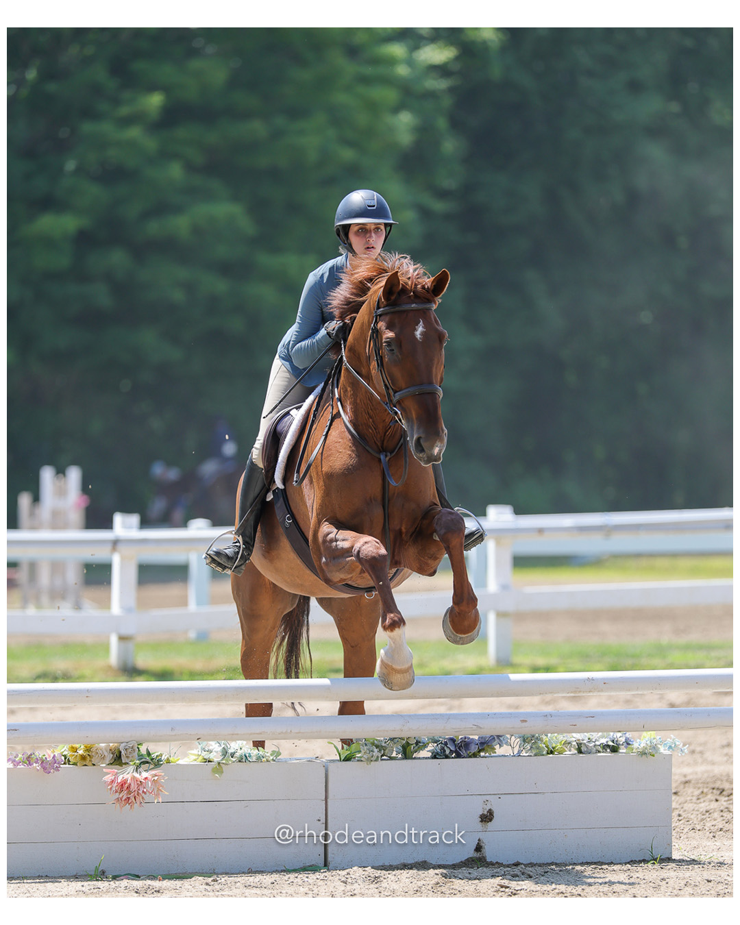 CHSA, CHJA Horse Show - Westbrook CT - July 6 2025 File: ./250706-250706-horse-westbrook-hunt-club-chsa-chja-westbrook-ct-66-296A1575.jpg CHSA, CHJA Horse Show - Westbrook CT - July 6 2025 – Westbrook Hunt Club Horse Show – Jul 6, 2025 – bib #66