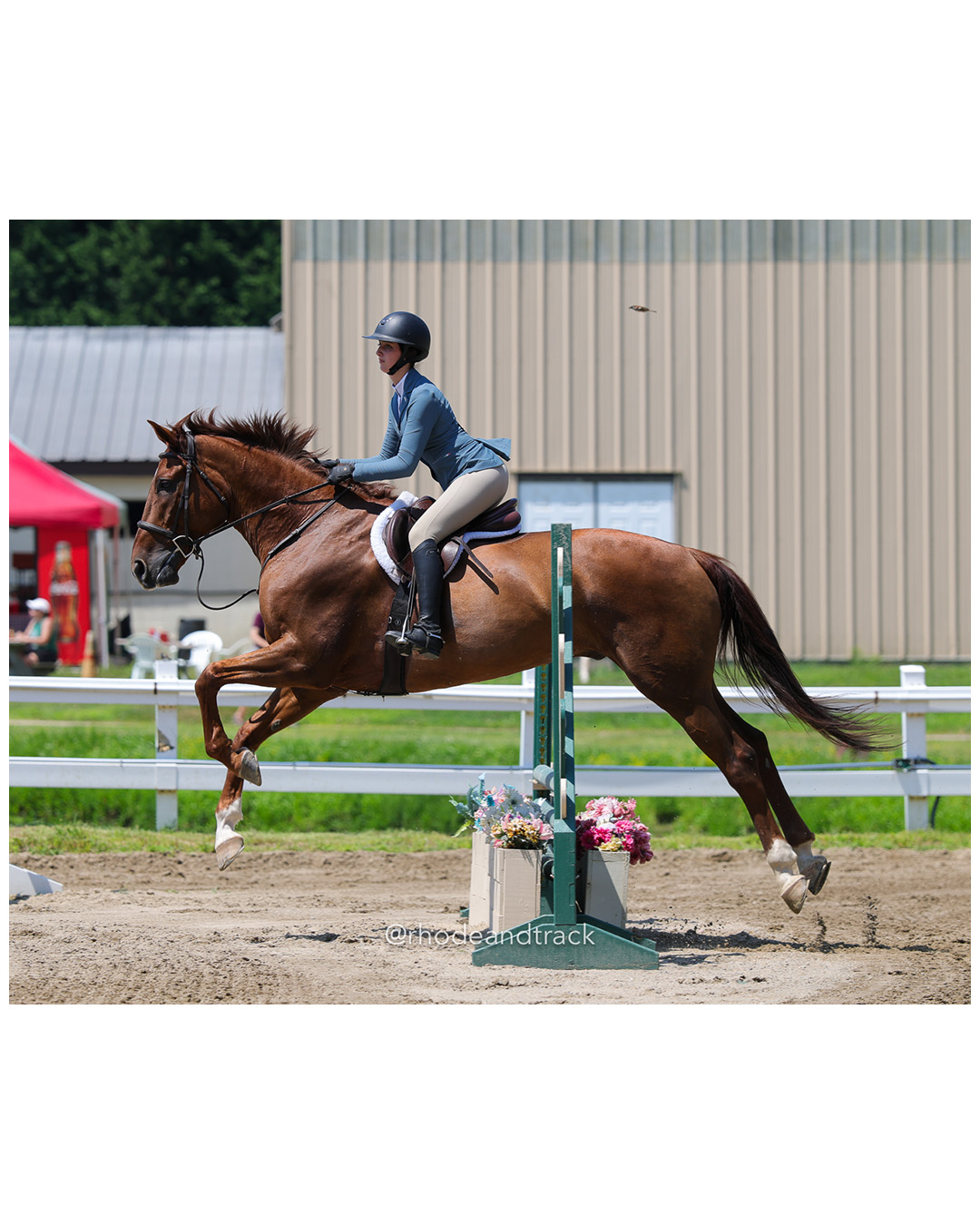 CHSA, CHJA Horse Show - Westbrook CT - July 6 2025 File: ./250706-250706-horse-westbrook-hunt-club-chsa-chja-westbrook-ct-68-296A1647.jpg CHSA, CHJA Horse Show - Westbrook CT - July 6 2025 – Westbrook Hunt Club Horse Show – Jul 6, 2025 – bib #68