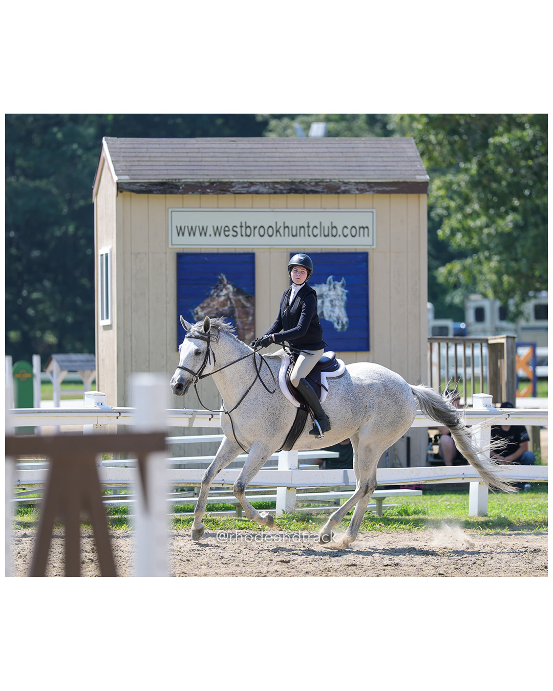 CHSA, CHJA Horse Show - Westbrook CT - July 6 2025 File: ./250706-250706-horse-westbrook-hunt-club-chsa-chja-westbrook-ct-77-296A2461.jpg CHSA, CHJA Horse Show - Westbrook CT - July 6 2025 – Westbrook Hunt Club Horse Show – Jul 6, 2025 – bib #77