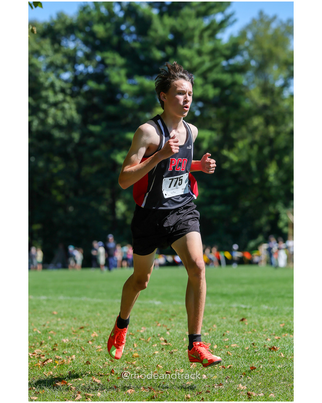 Leo Woodman - Providence Country Day - 17:29.35 - 2025 Injury Fund Carnival XC Cross Country Race - Deerfield Park, Smithfield RI - August…