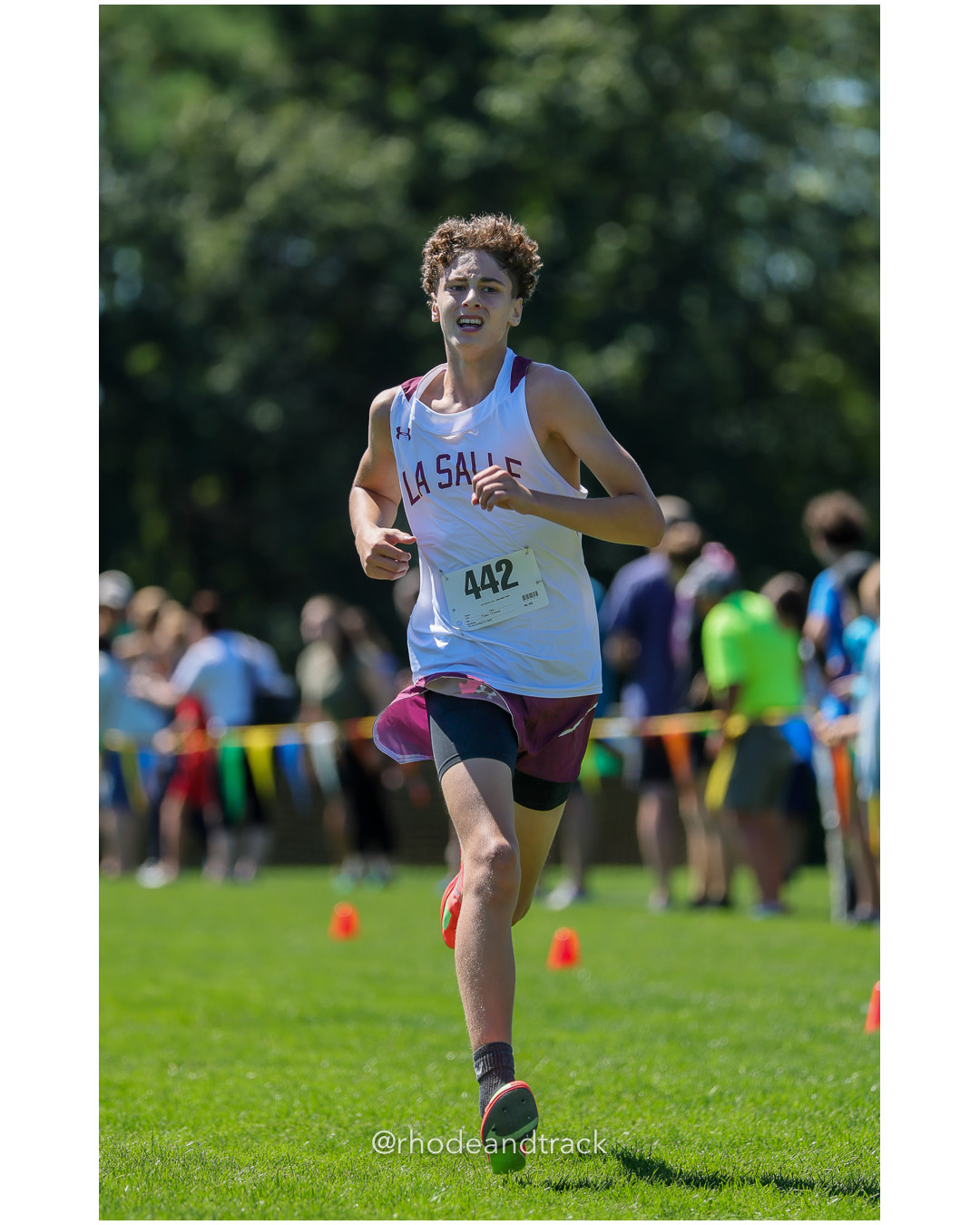 Mark Picerno - La Salle Academy - 16:45.55 - 2025 Injury Fund Carnival XC Cross Country Race - Deerfield Park, Smithfield RI - August 30 20…