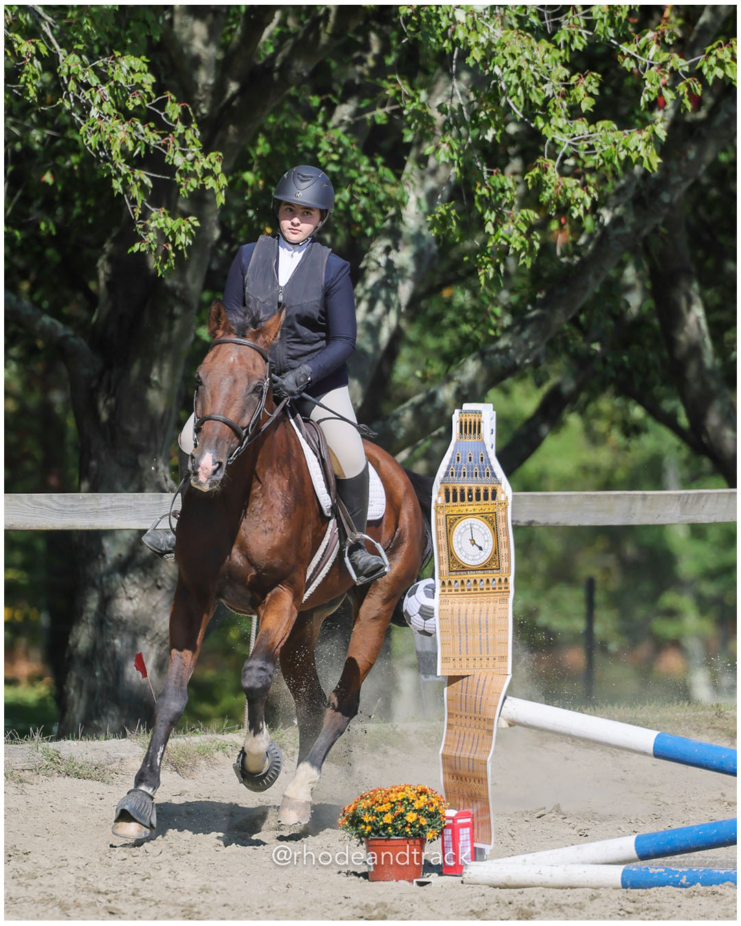 Macy Andreozzi, Prospect Hill Farm / Bay View / Mt St Charles - Interscholastic Equestrian Association competition - Prospect Hill Farm - L…