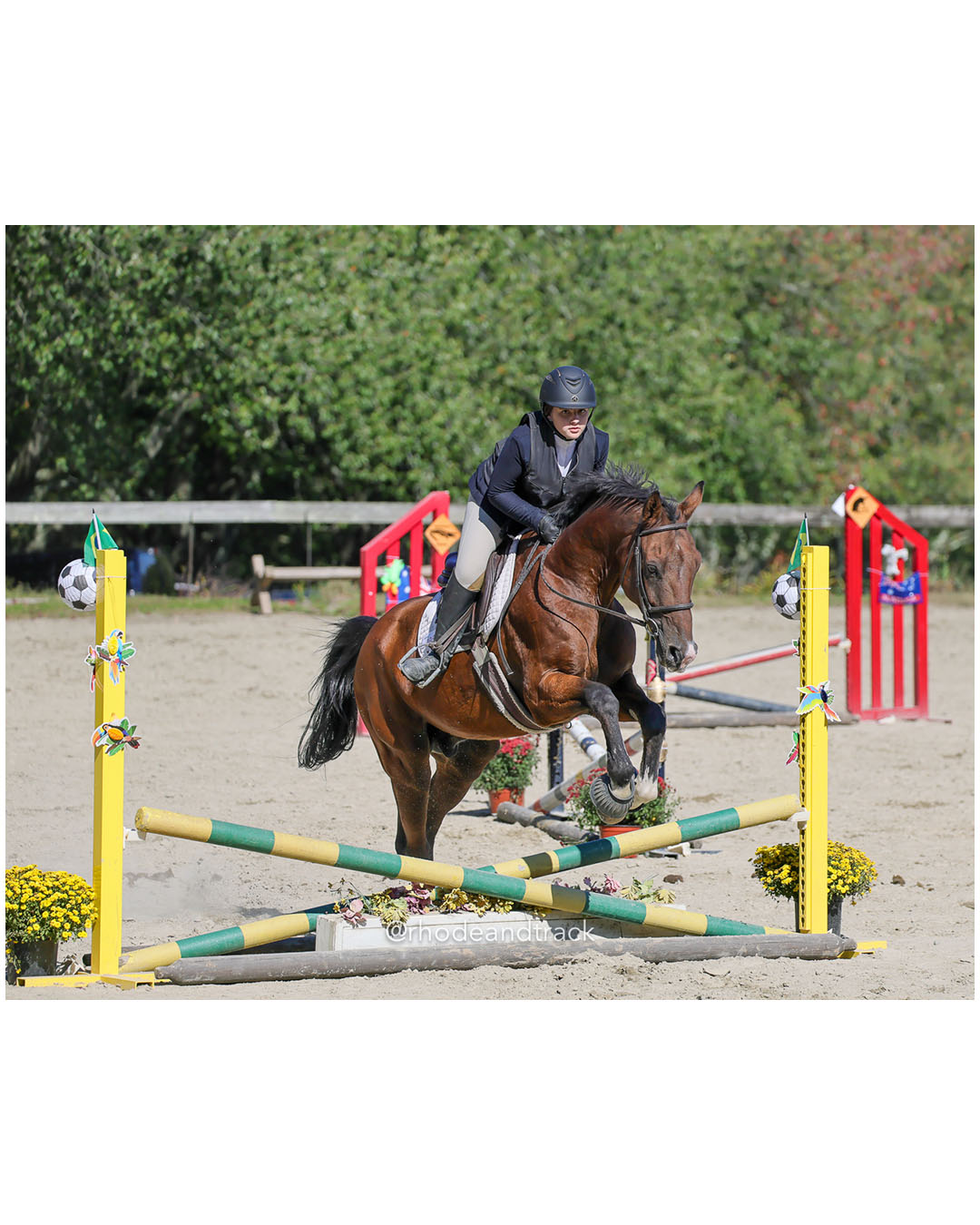 Macy Andreozzi, Prospect Hill Farm / Bay View / Mt St Charles - Interscholastic Equestrian Association competition - Prospect Hill Farm - L…