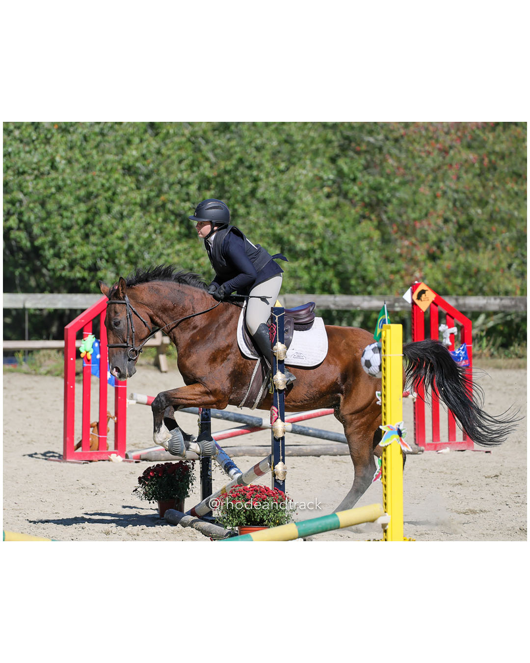 Macy Andreozzi, Prospect Hill Farm / Bay View / Mt St Charles - Interscholastic Equestrian Association competition - Prospect Hill Farm - L…