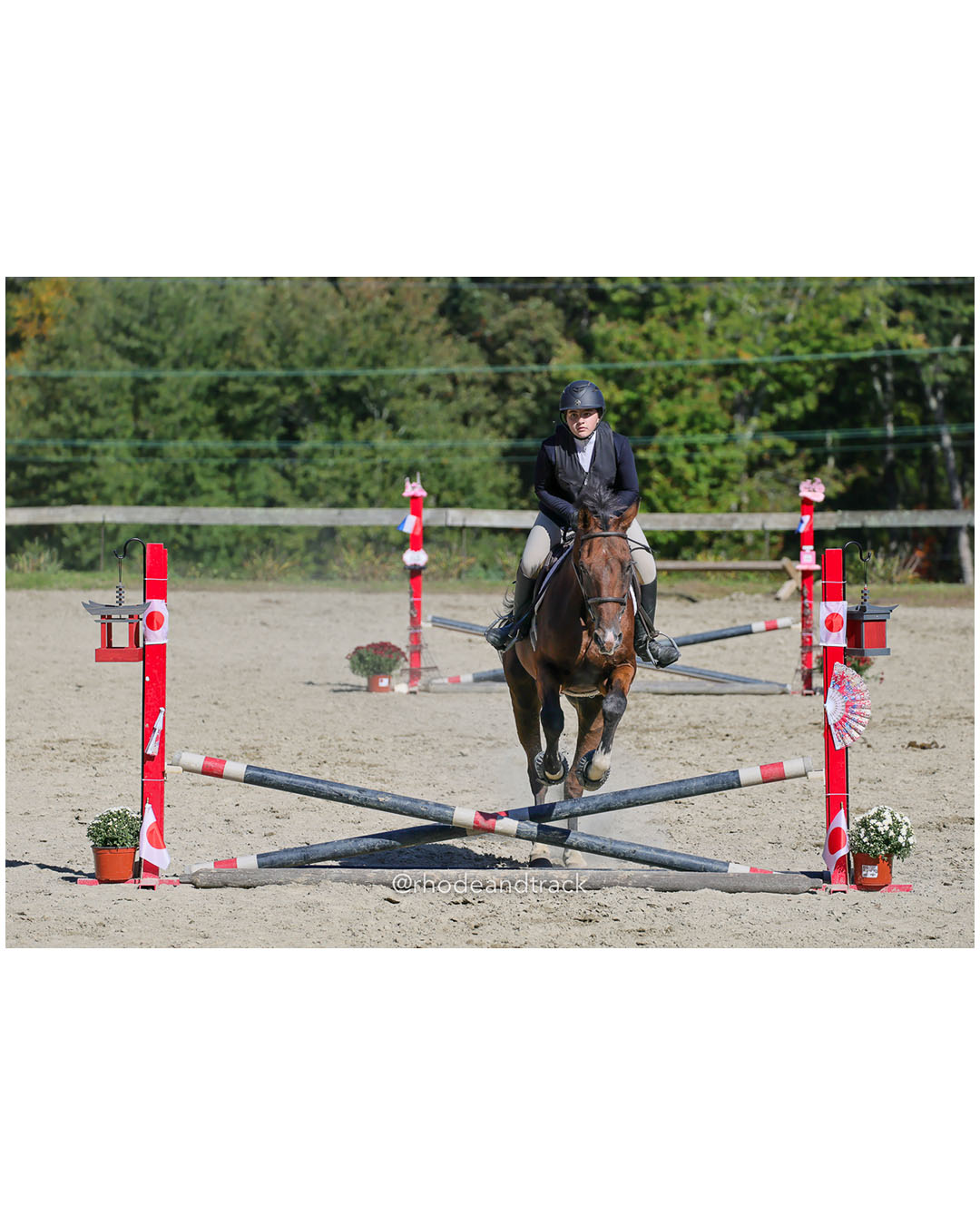 Macy Andreozzi, Prospect Hill Farm / Bay View / Mt St Charles - Interscholastic Equestrian Association competition - Prospect Hill Farm - L…