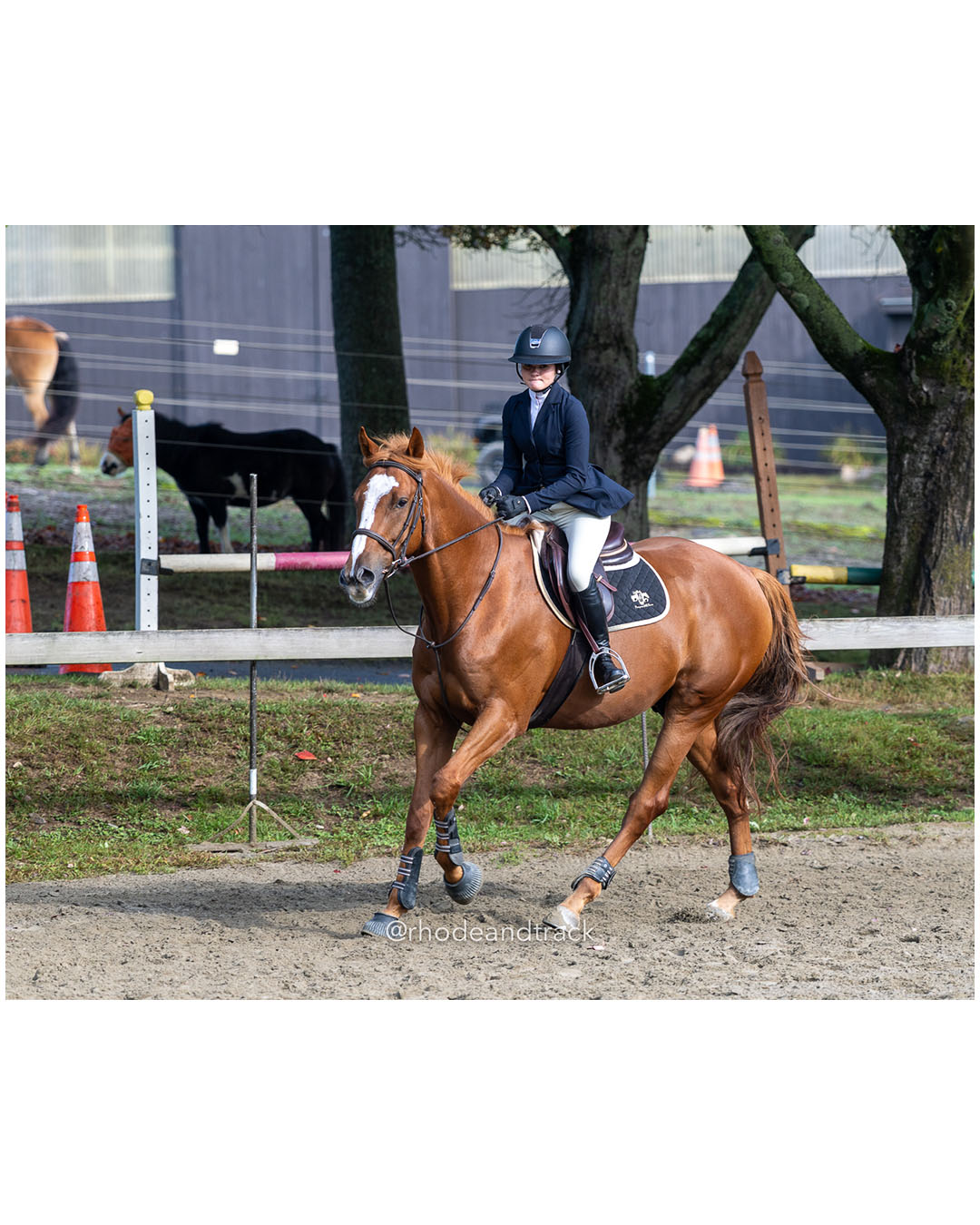 Interscholastic Equestrian Association competition - Prospect Hill Farm - Lincoln, RI - September 28 2025 – RI Interscholastic Equestrian A…
