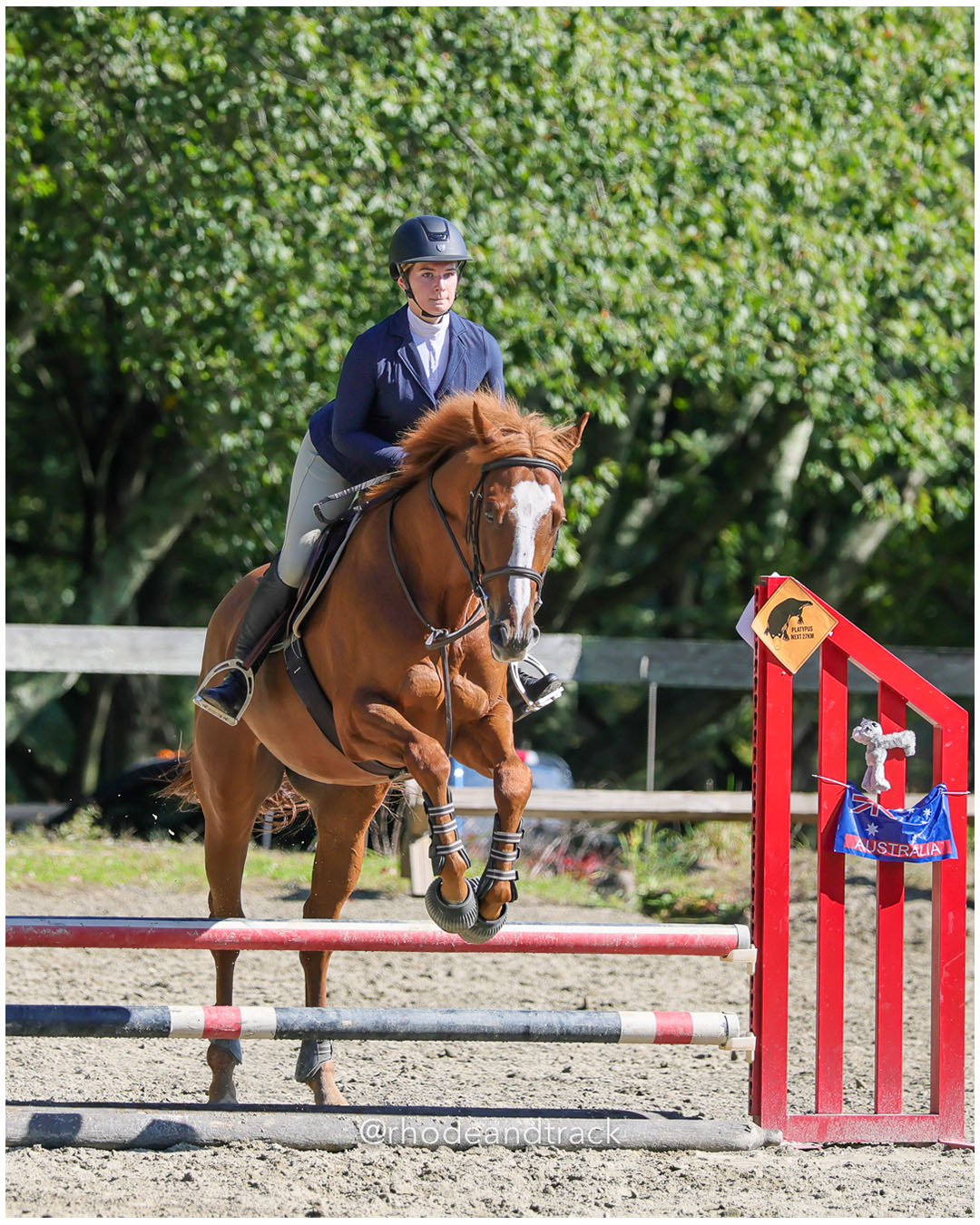 Caley Carlino Legault, Hunter Ridge - Interscholastic Equestrian Association competition - Prospect Hill Farm - Lincoln, RI - September 28 2025 File: ./dir-3-Varsity-Intermediate-2ft/250928-interscholastic-equestrian-association-show-prospect-hill-farm-lincoln-ri-september-29-2025-141-296A6100.jpg Caley Carlino Legault, Hunter Ridge - Interscholastic Equestrian Association competition - Prospect Hill Farm - Lincoln, RI - September 28…