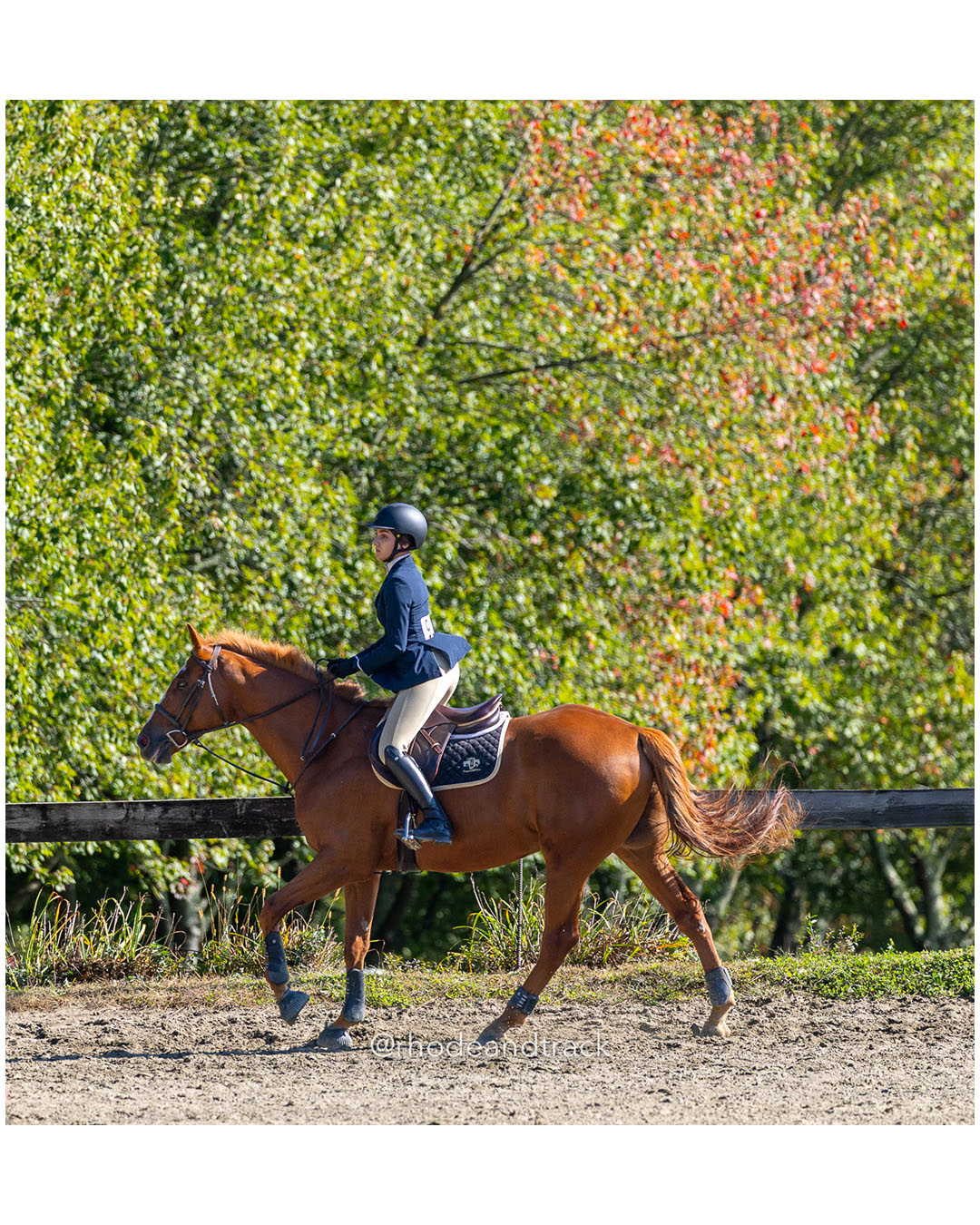 Sophia Boisvert, Prospect Hill Farm / Bay View / Mt St Charles - Interscholastic Equestrian Association competition - Prospect Hill Farm -…