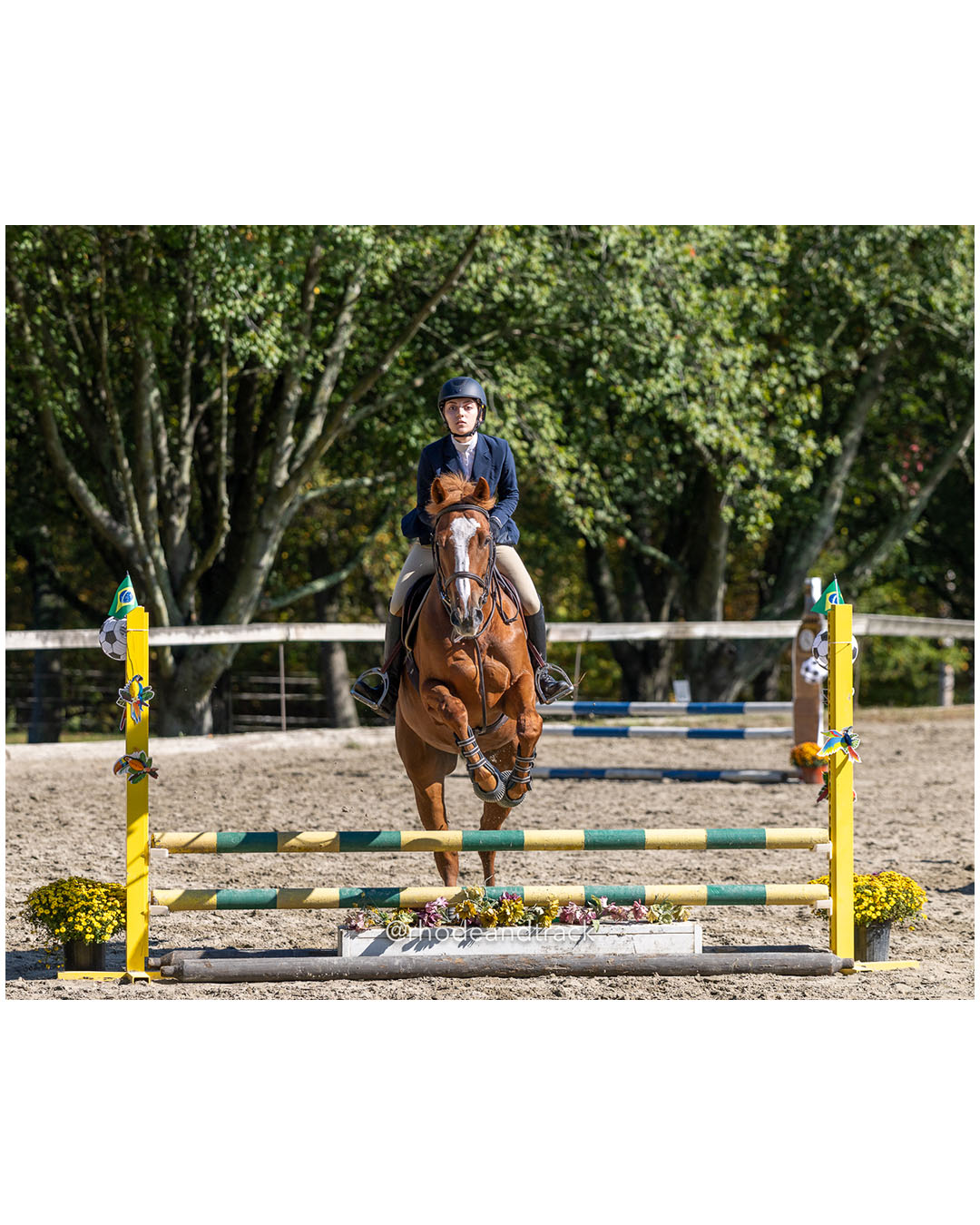 Sophia Boisvert, Prospect Hill Farm / Bay View / Mt St Charles - Interscholastic Equestrian Association competition - Prospect Hill Farm -…