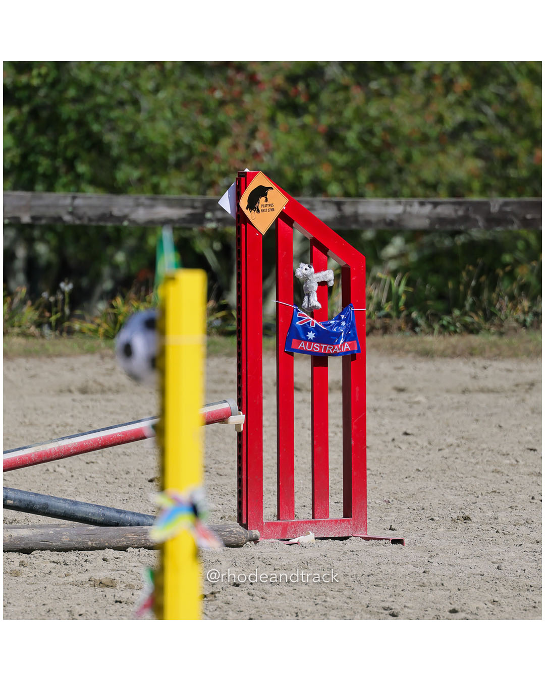 Interscholastic Equestrian Association competition - Prospect Hill Farm - Lincoln, RI - September 28 2025 File: ./dir-5-JV-Novice-Equitation-of-xrails-1/250928-interscholastic-equestrian-association-show-prospect-hill-farm-lincoln-ri-september-29-2025-360-296A9665.jpg Interscholastic Equestrian Association competition - Prospect Hill Farm - Lincoln, RI - September 28 2025 – RI Interscholastic Equestrian A…