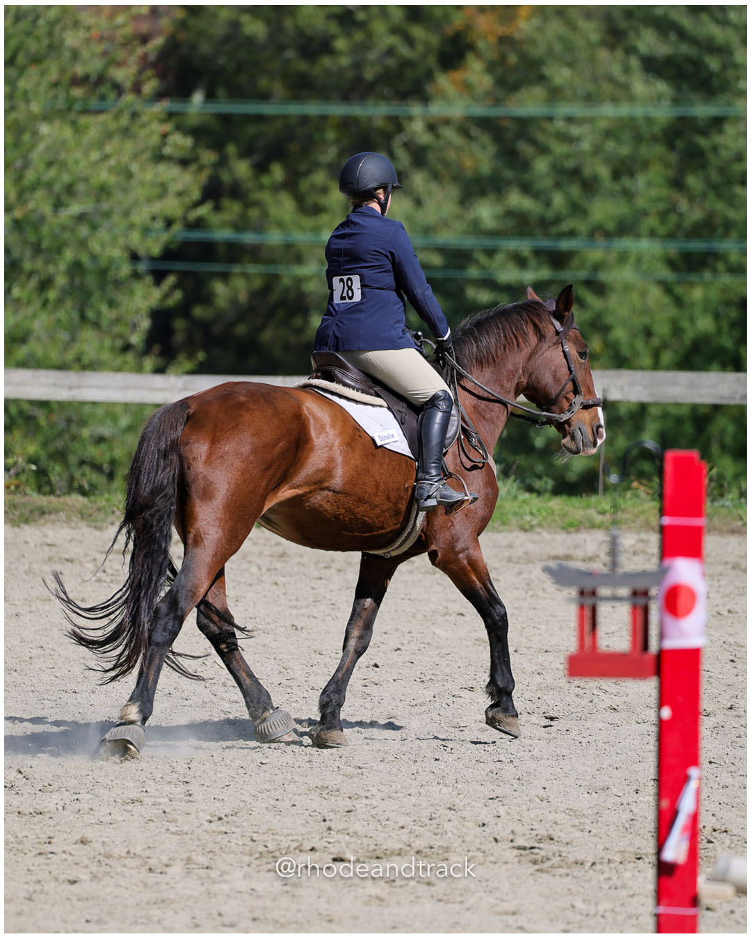 Gabriella Roody, Prospect Hill Farm / Bay View / Mt St Charles - Interscholastic Equestrian Association competition - Prospect Hill Farm - Lincoln, RI - September 28 2025 File: ./dir-5-JV-Novice-Equitation-of-xrails-2/250928-interscholastic-equestrian-association-show-prospect-hill-farm-lincoln-ri-september-29-2025-413-296A1708.jpg Gabriella Roody, Prospect Hill Farm / Bay View / Mt St Charles - Interscholastic Equestrian Association competition - Prospect Hill Farm -…