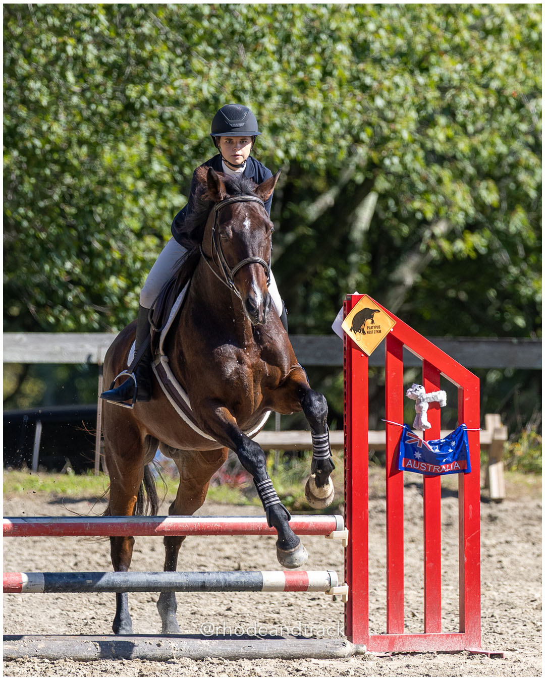 Jordan Bradley, Hunter Ridge - Interscholastic Equestrian Association competition - Prospect Hill Farm - Lincoln, RI - September 28 2025 –…