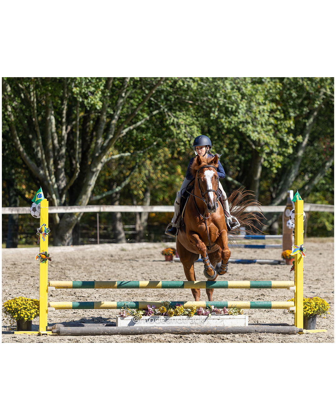 Molly Swain - Interscholastic Equestrian Association competition - Prospect Hill Farm - Lincoln, RI - September 28 2025 – RI Interscholasti…