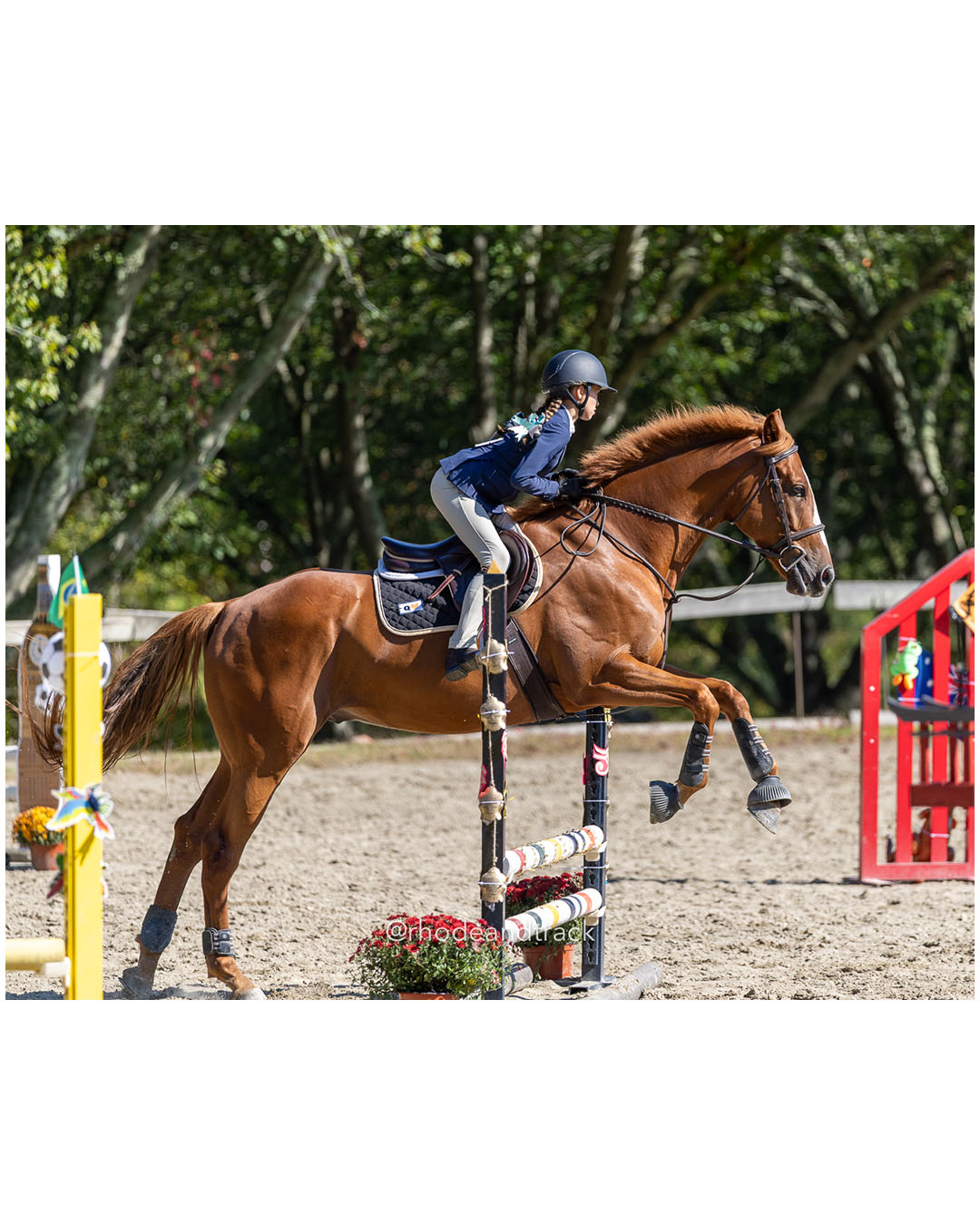 Molly Swain - Interscholastic Equestrian Association competition - Prospect Hill Farm - Lincoln, RI - September 28 2025 – RI Interscholasti…