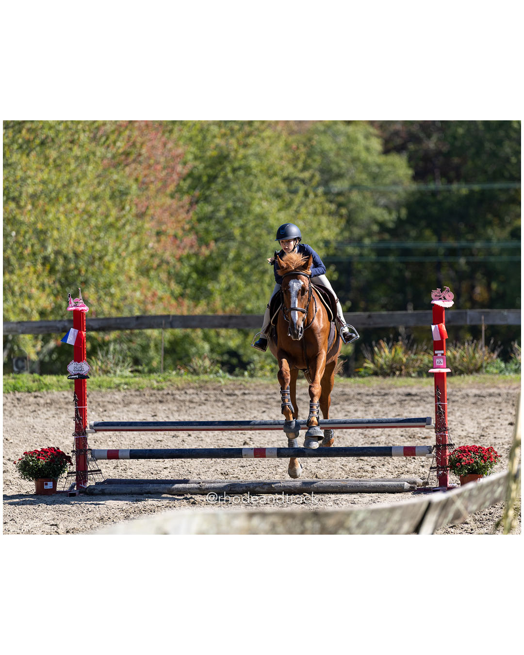 Molly Swain - Interscholastic Equestrian Association competition - Prospect Hill Farm - Lincoln, RI - September 28 2025 – RI Interscholasti…