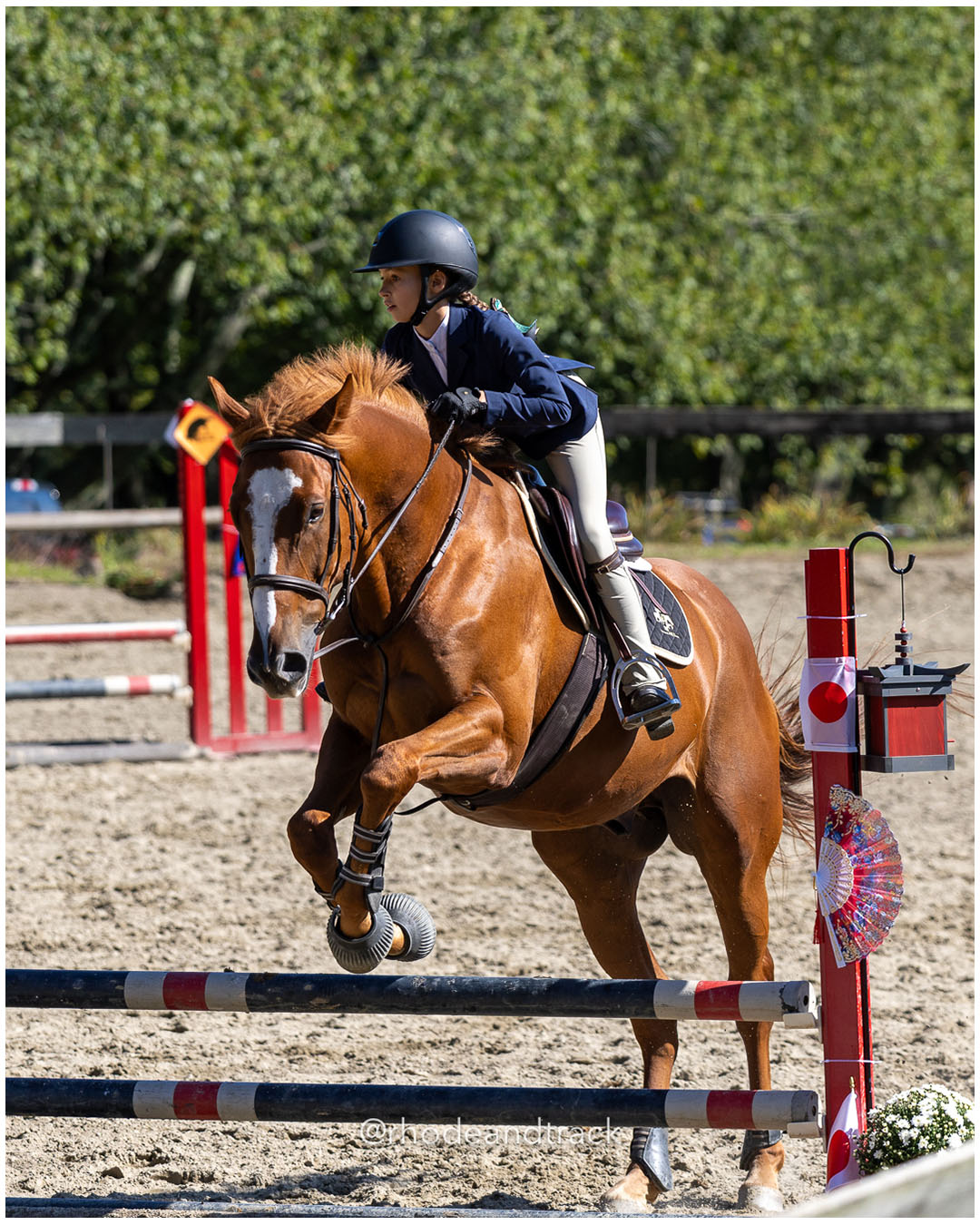 Molly Swain - Interscholastic Equestrian Association competition - Prospect Hill Farm - Lincoln, RI - September 28 2025 – RI Interscholasti…