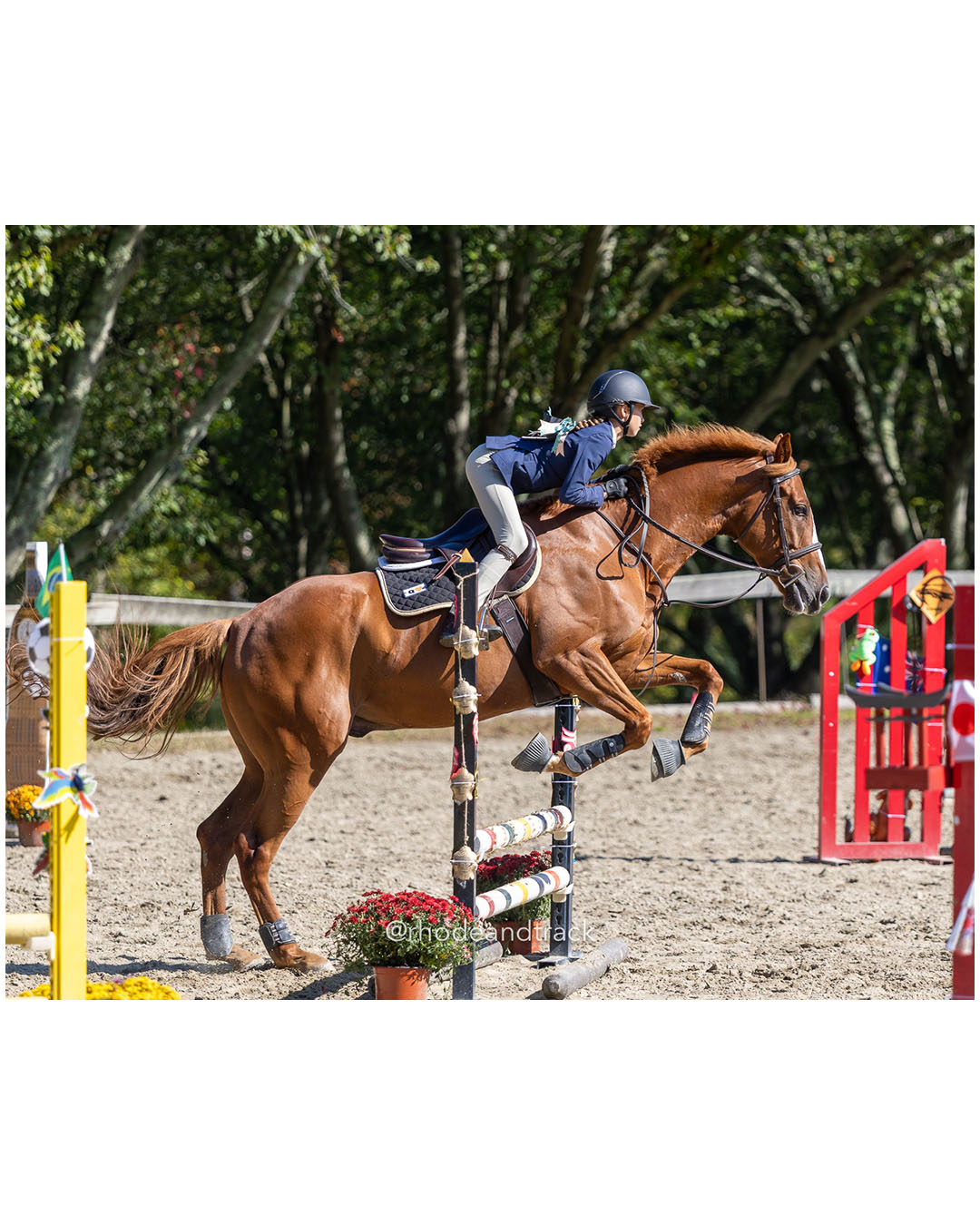 Molly Swain - Interscholastic Equestrian Association competition - Prospect Hill Farm - Lincoln, RI - September 28 2025 – RI Interscholasti…