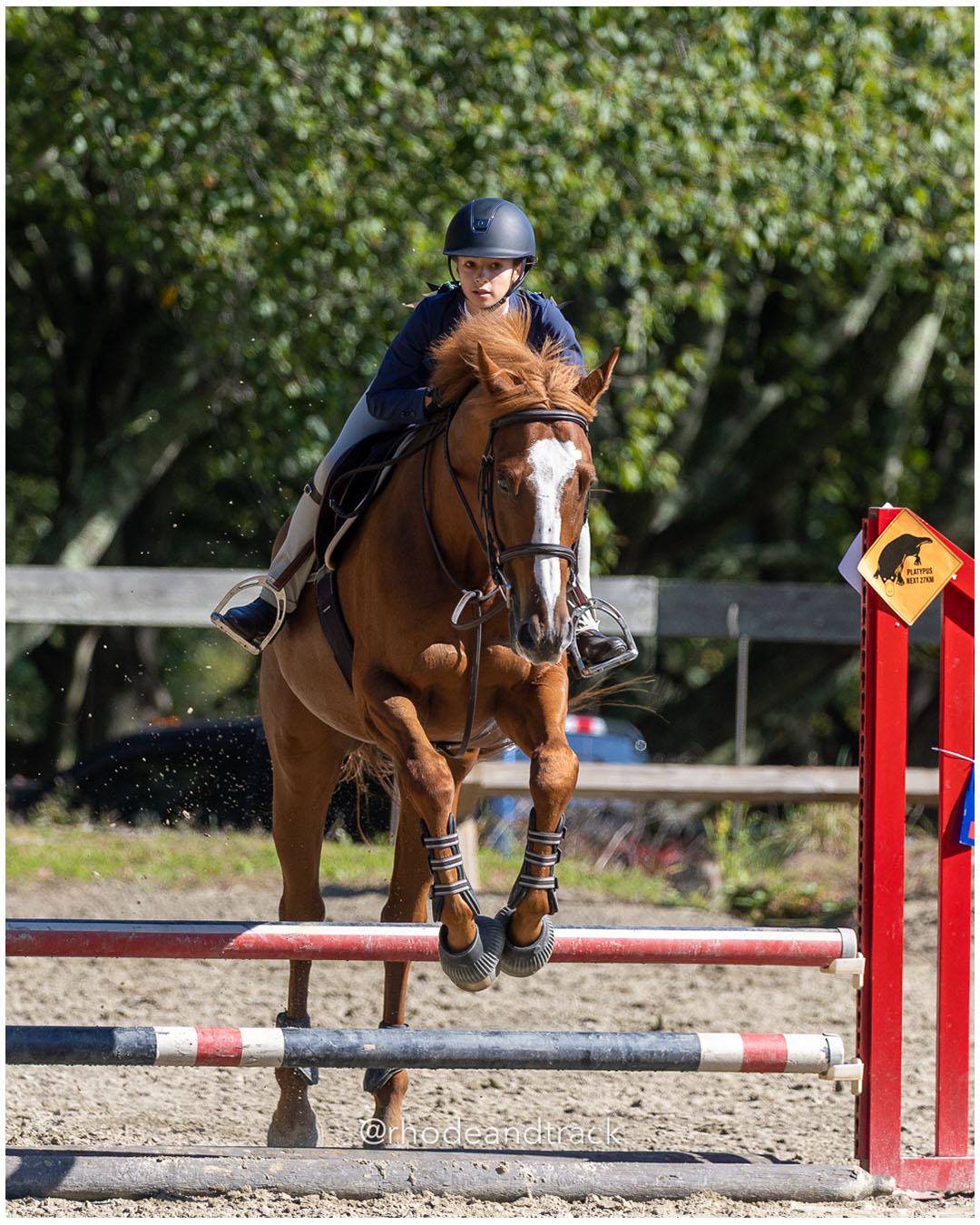 Molly Swain - Interscholastic Equestrian Association competition - Prospect Hill Farm - Lincoln, RI - September 28 2025 – RI Interscholasti…