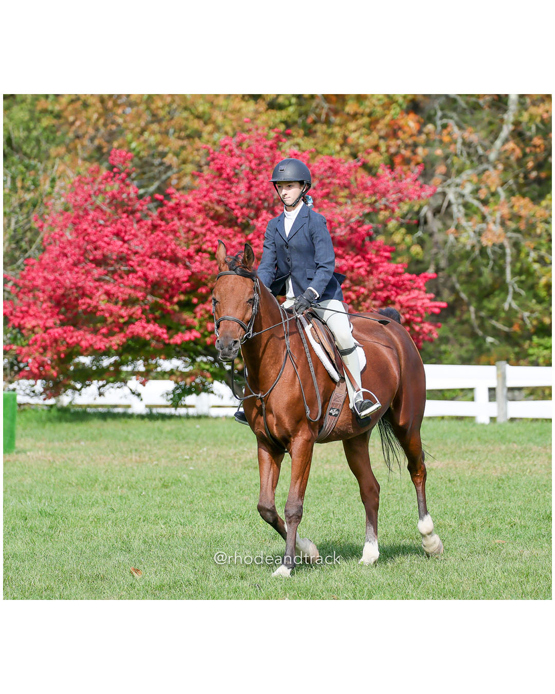Hunter Derby Horse Show - Walnut Hill Farm - Plainville MA - October 19, 2025 File: ./251019-hunter-derby-walnut-hill-farm-plainville-ma-61-296A6262.jpg Hunter Derby Horse Show - Walnut Hill Farm - Plainville MA - October 19, 2025 – Hunter Derby – Oct 19, 2025 – Plainville, Massachusetts – b…