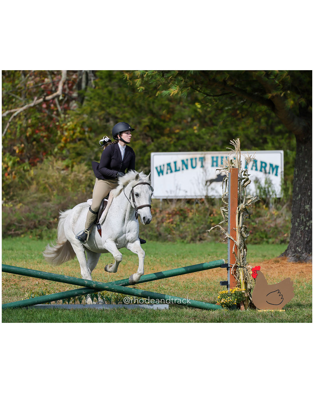 Hunter Derby Horse Show - Walnut Hill Farm - Plainville MA - October 19, 2025 File: ./251019-hunter-derby-walnut-hill-farm-plainville-ma-62-296A6290.jpg Hunter Derby Horse Show - Walnut Hill Farm - Plainville MA - October 19, 2025 – Hunter Derby – Oct 19, 2025 – Plainville, Massachusetts – b…