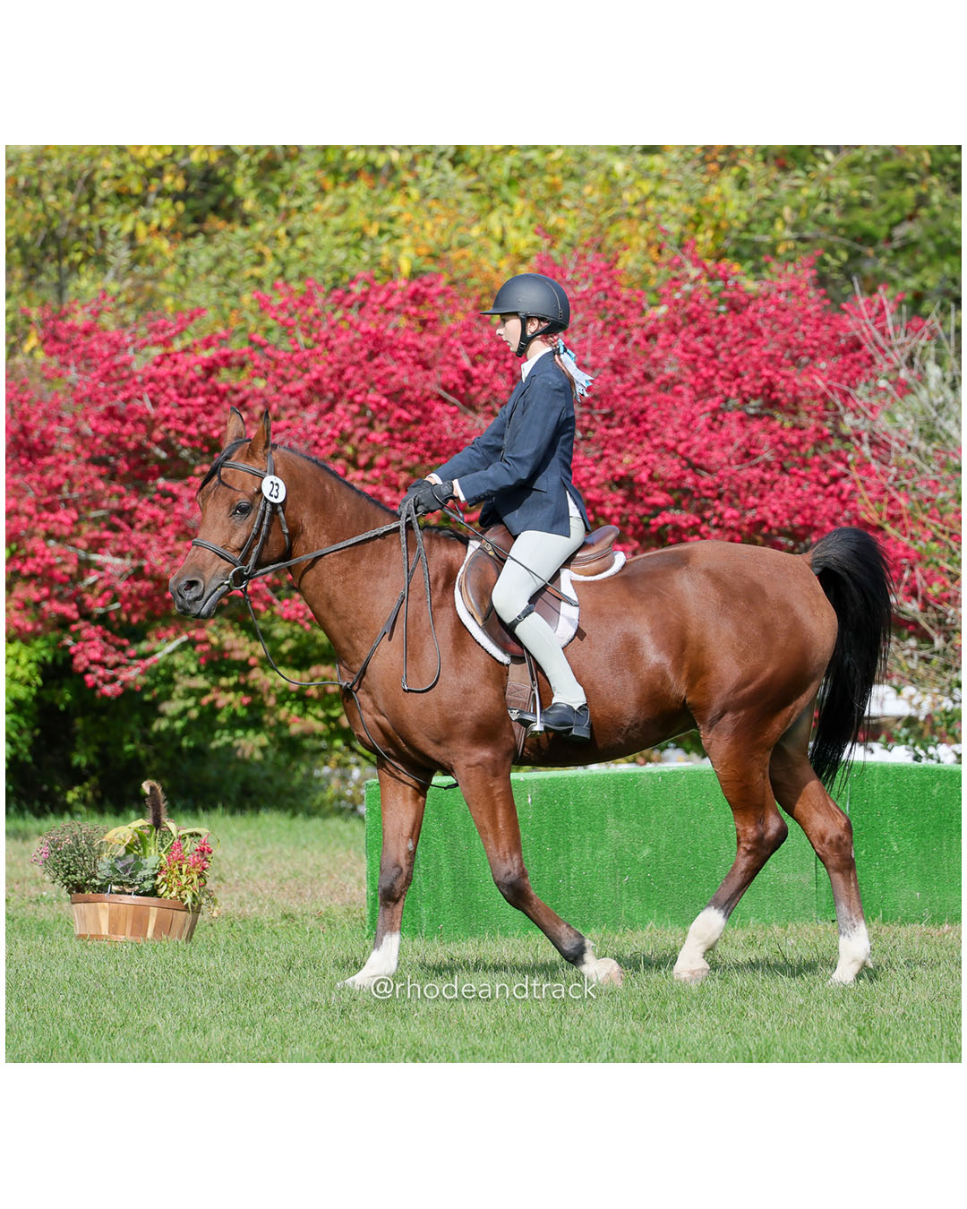 Hunter Derby Horse Show - Walnut Hill Farm - Plainville MA - October 19, 2025 File: ./251019-hunter-derby-walnut-hill-farm-plainville-ma-63-296A6348.jpg Hunter Derby Horse Show - Walnut Hill Farm - Plainville MA - October 19, 2025 – Hunter Derby – Oct 19, 2025 – Plainville, Massachusetts – b…