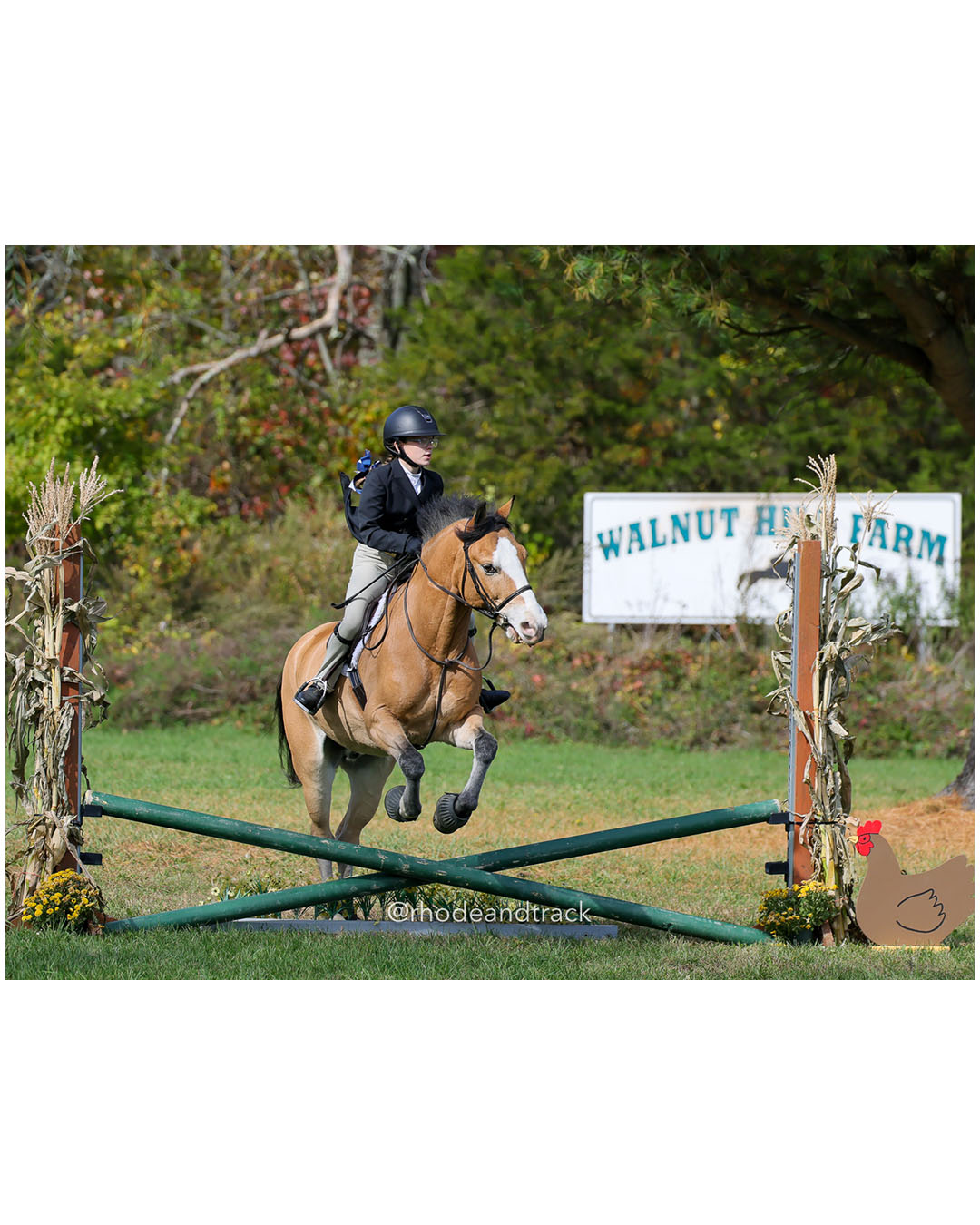 Hunter Derby Horse Show - Walnut Hill Farm - Plainville MA - October 19, 2025 File: ./251019-hunter-derby-walnut-hill-farm-plainville-ma-65-296A6495.jpg Hunter Derby Horse Show - Walnut Hill Farm - Plainville MA - October 19, 2025 – Hunter Derby – Oct 19, 2025 – Plainville, Massachusetts – b…