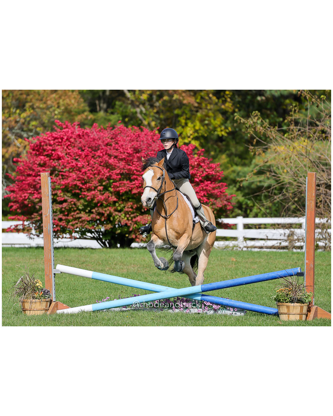 Hunter Derby Horse Show - Walnut Hill Farm - Plainville MA - October 19, 2025 File: ./251019-hunter-derby-walnut-hill-farm-plainville-ma-67-296A6717.jpg Hunter Derby Horse Show - Walnut Hill Farm - Plainville MA - October 19, 2025 – Hunter Derby – Oct 19, 2025 – Plainville, Massachusetts – b…
